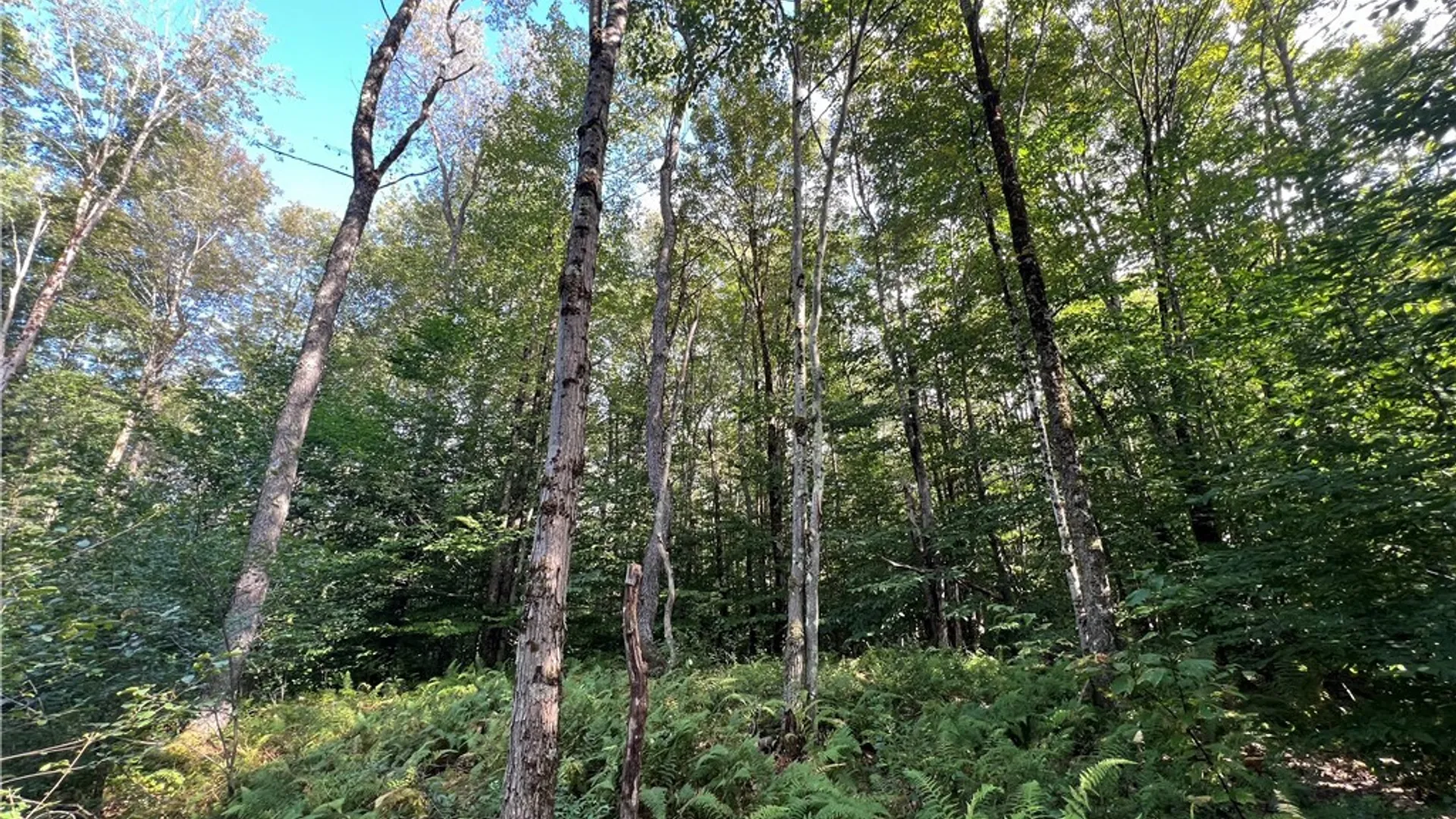 Property at Creek Road, Annsville, NY 13471 28