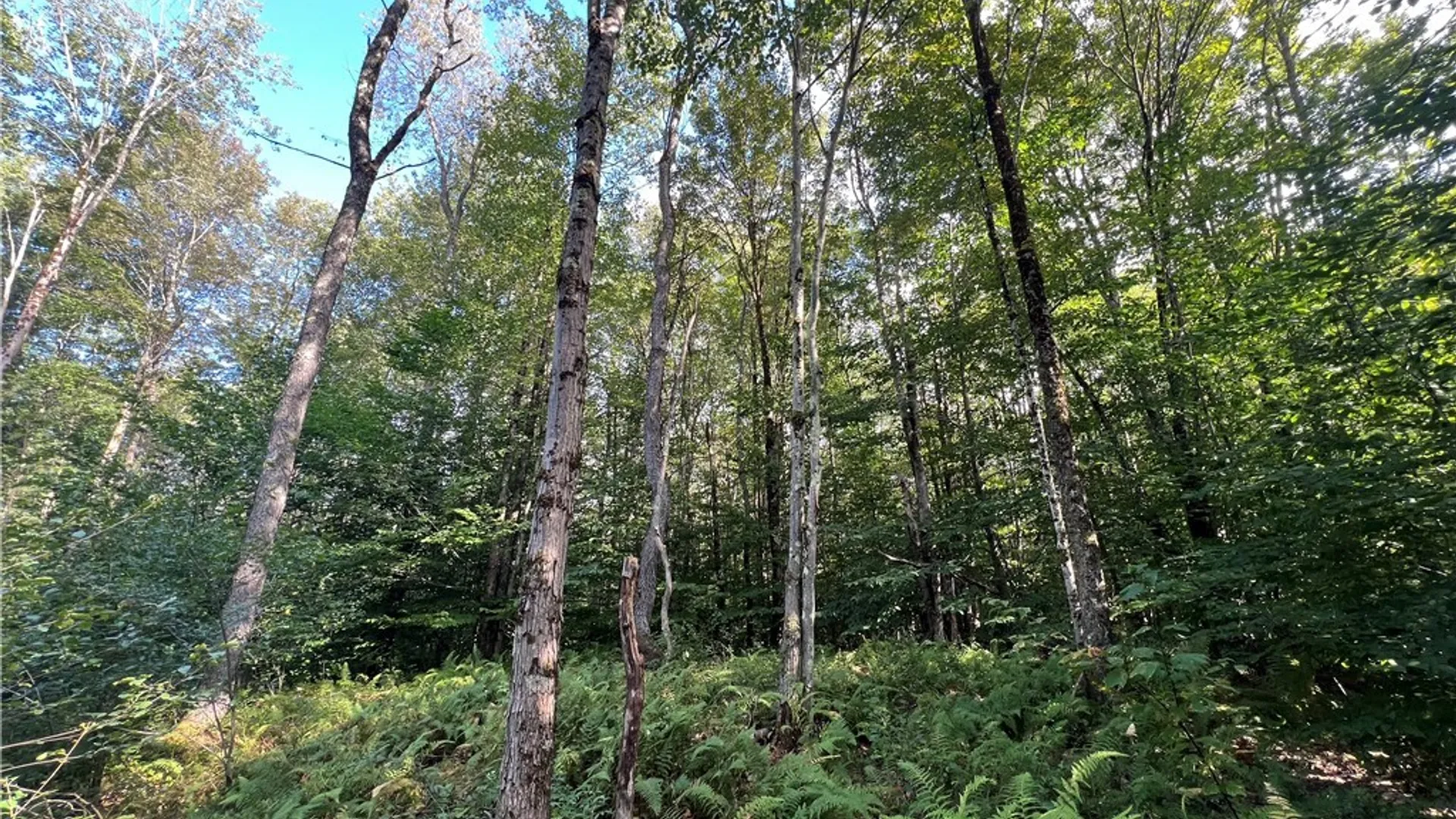 Property at Creek Road, Annsville, NY 13471 29