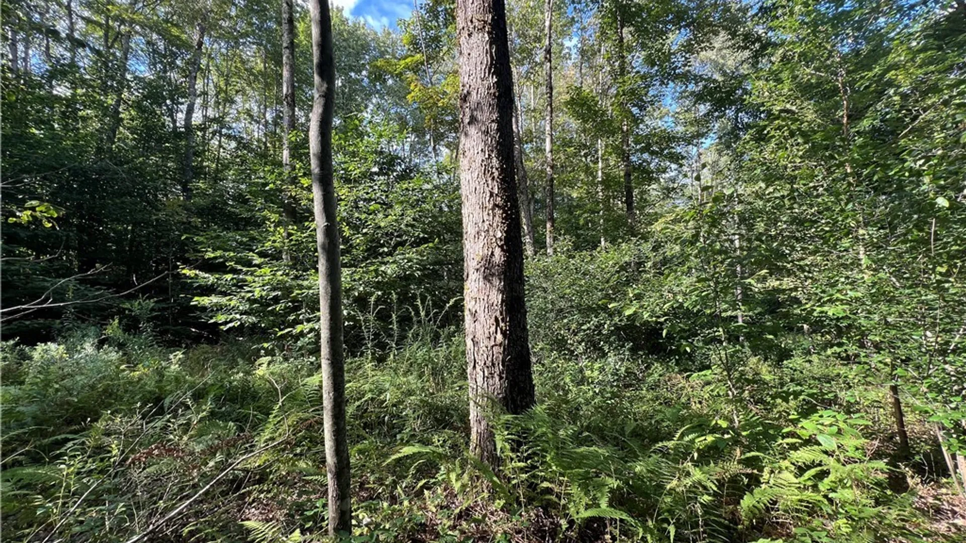 Property at Creek Road, Annsville, NY 13471 32