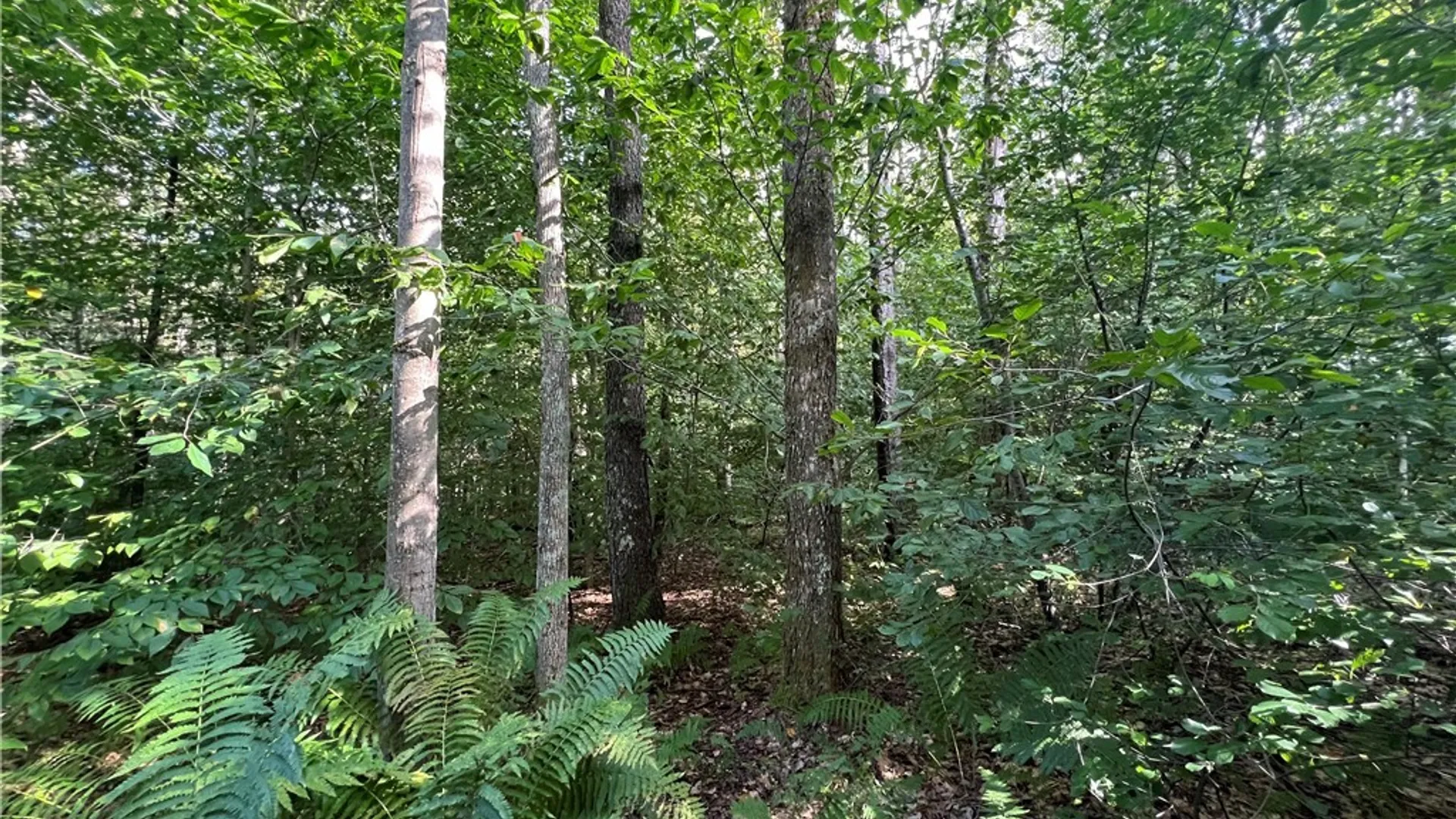 Property at Creek Road, Annsville, NY 13471 33