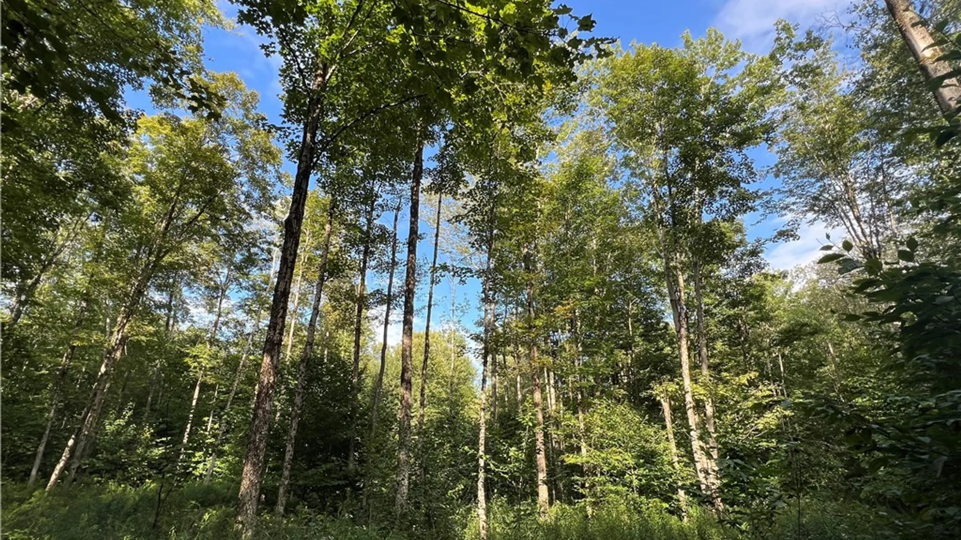 Property at Creek Road, Annsville, NY 13471 34