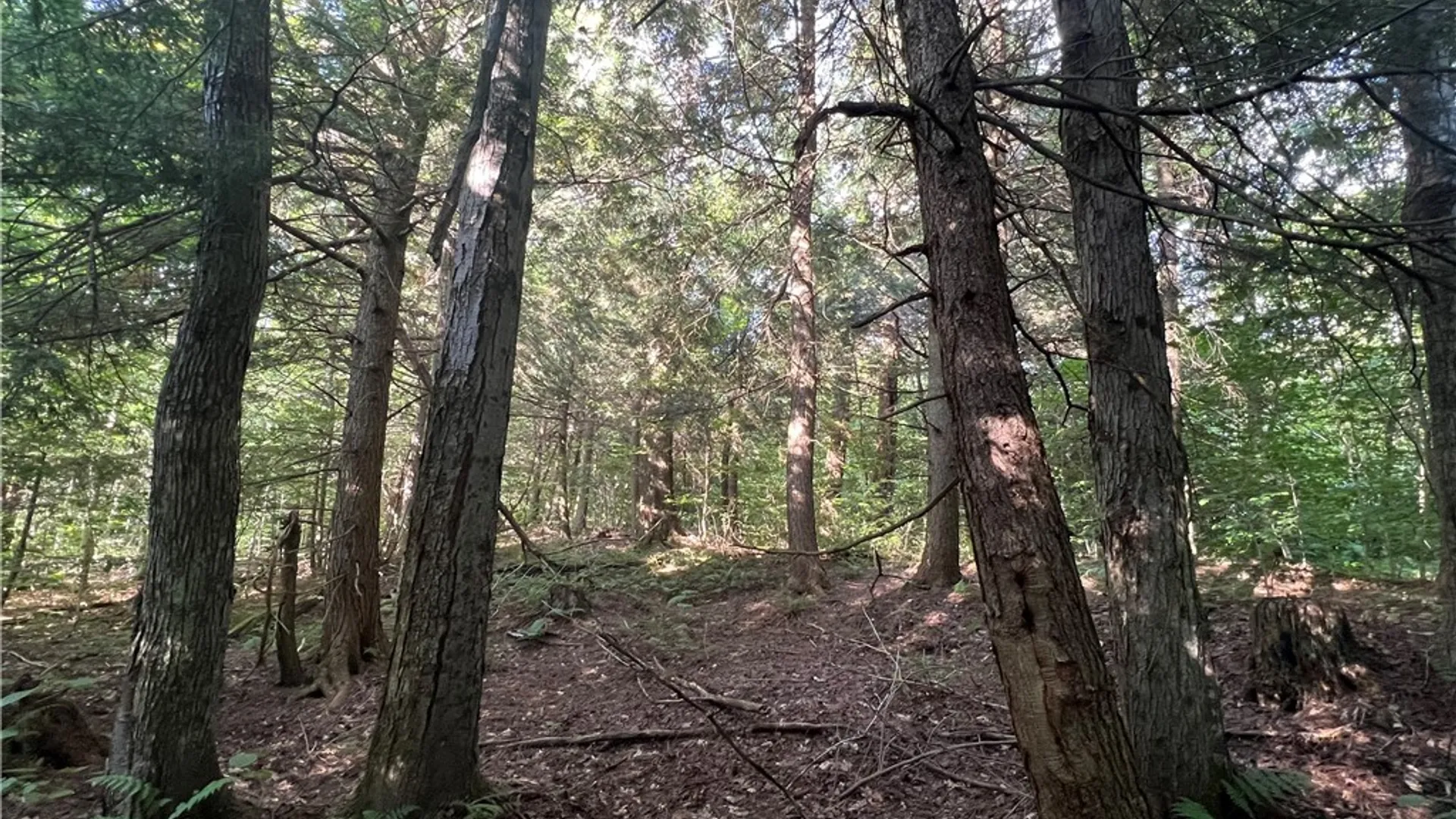 Property at Creek Road, Annsville, NY 13471 6