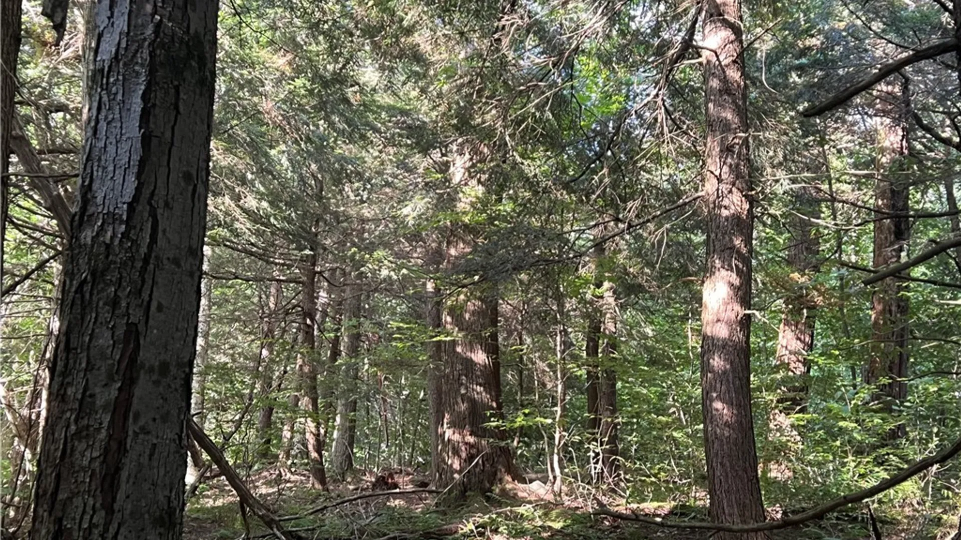 Property at Creek Road, Annsville, NY 13471 7