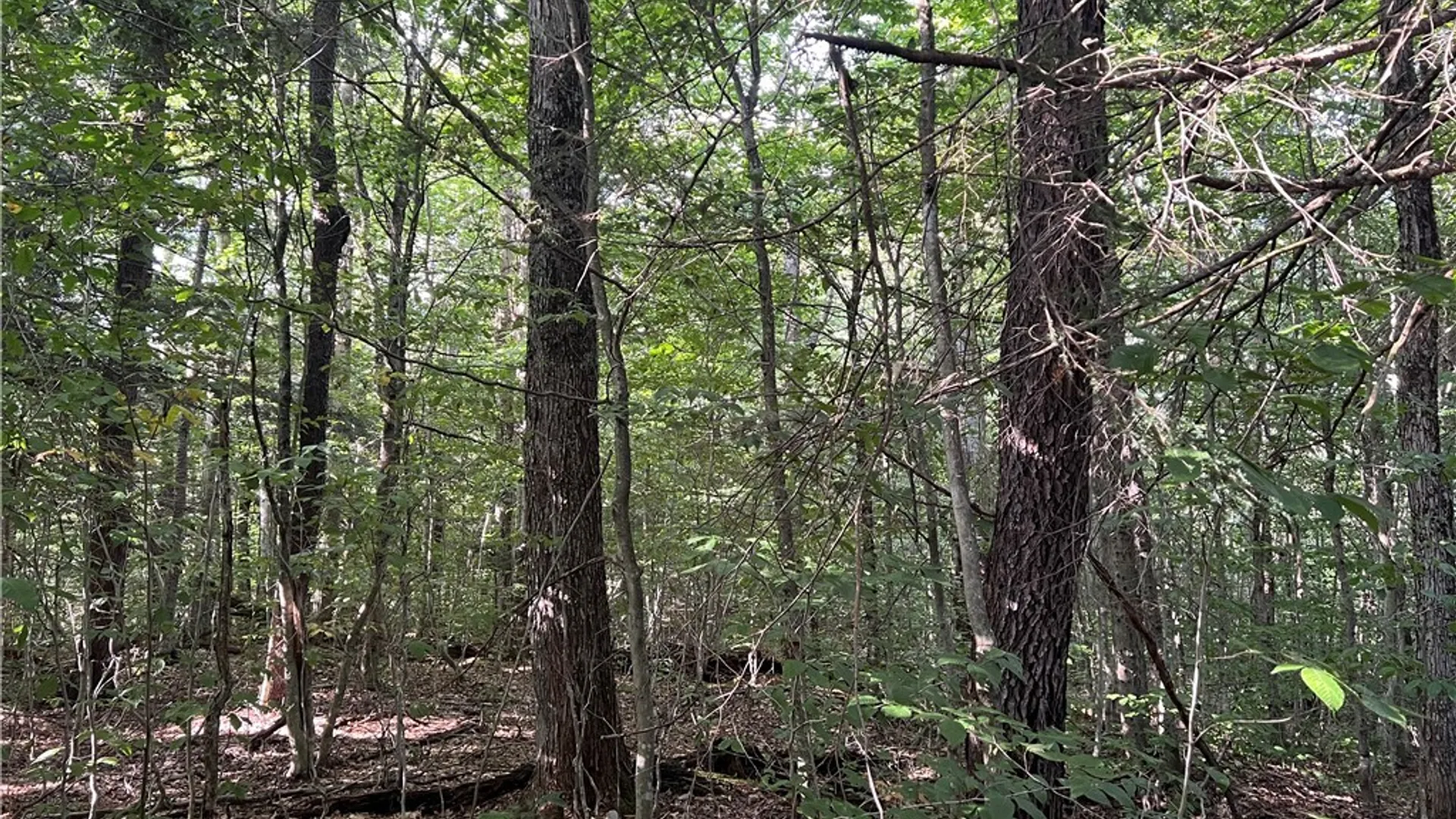 Property at Creek Road, Annsville, NY 13471 8