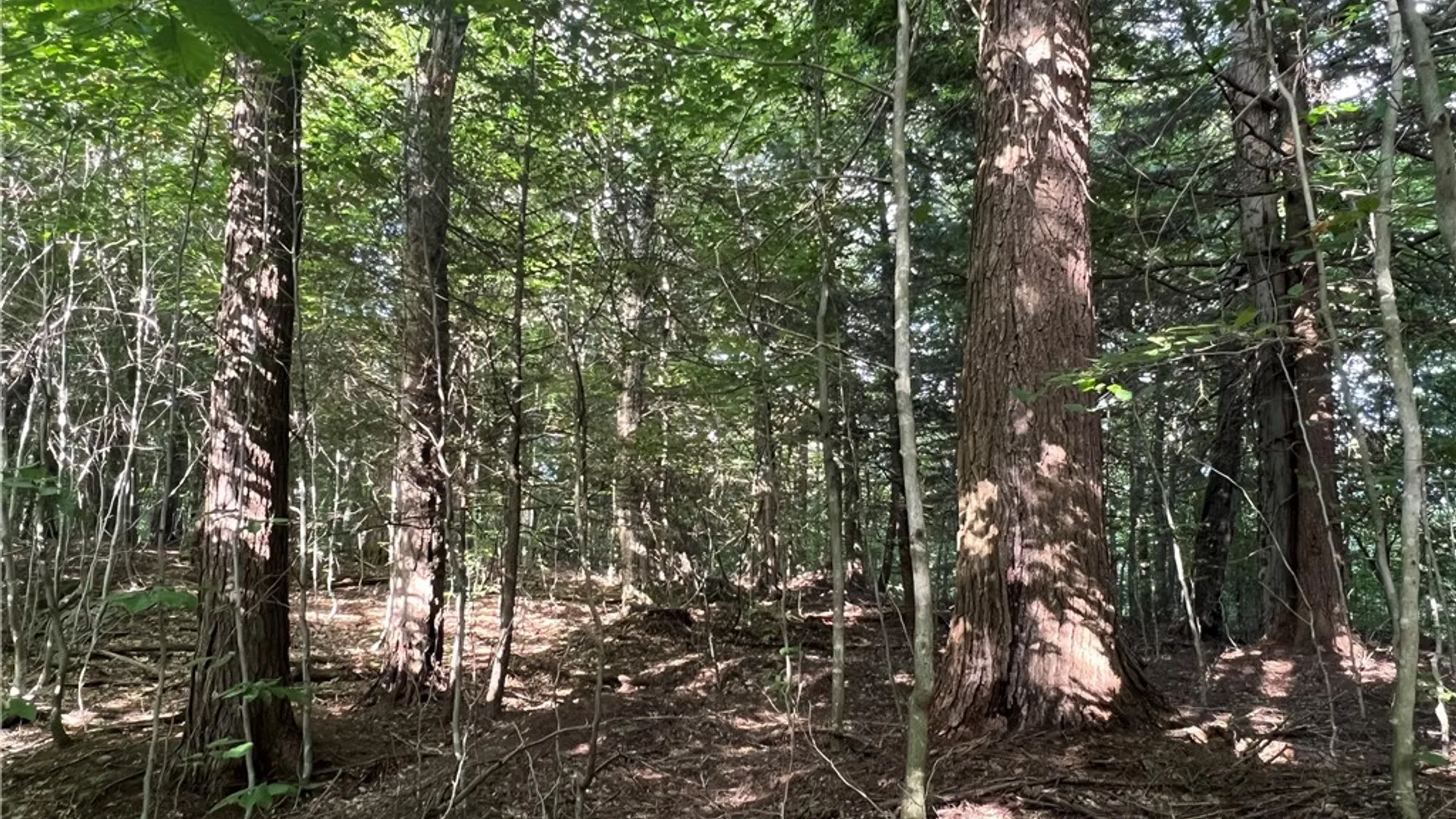 Property at Creek Road, Annsville, NY 13471 9