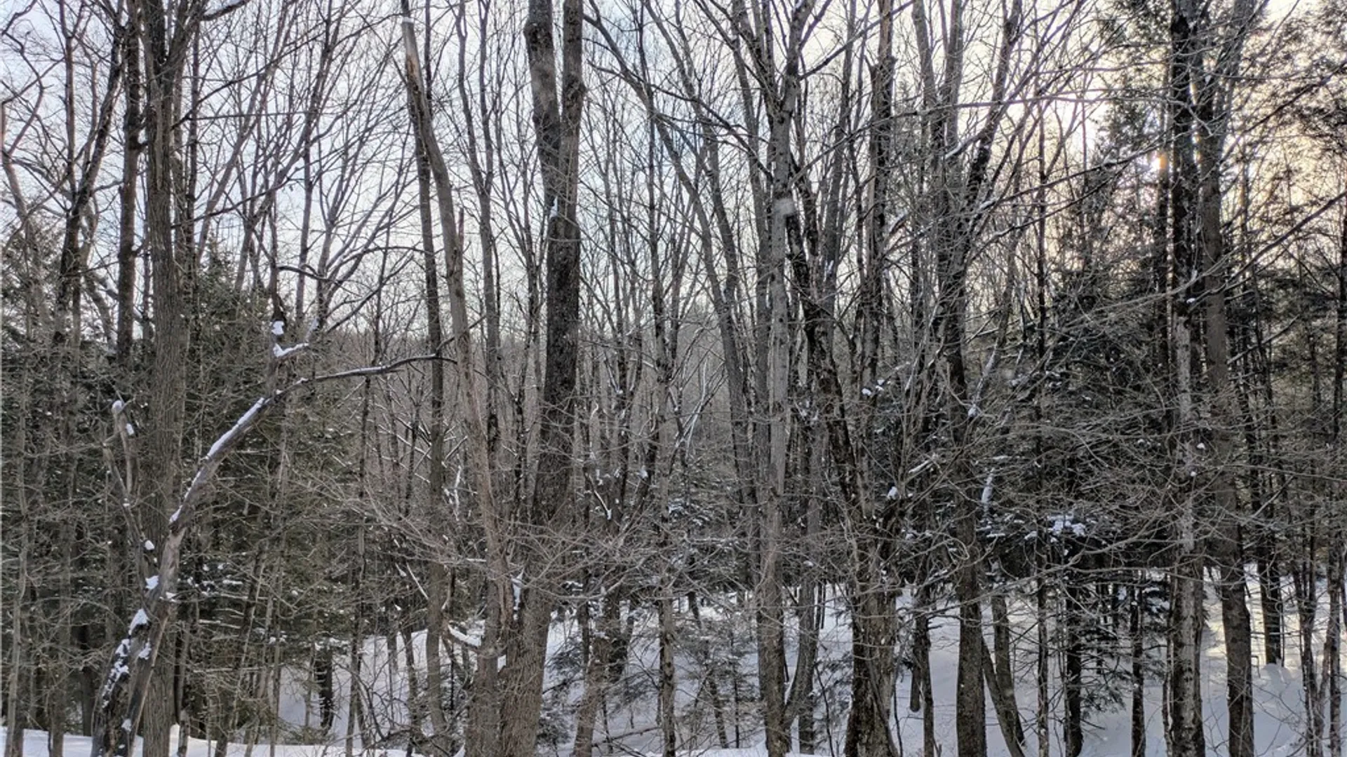 Property at Walt Phillips Road, Columbus, NY 13460 3