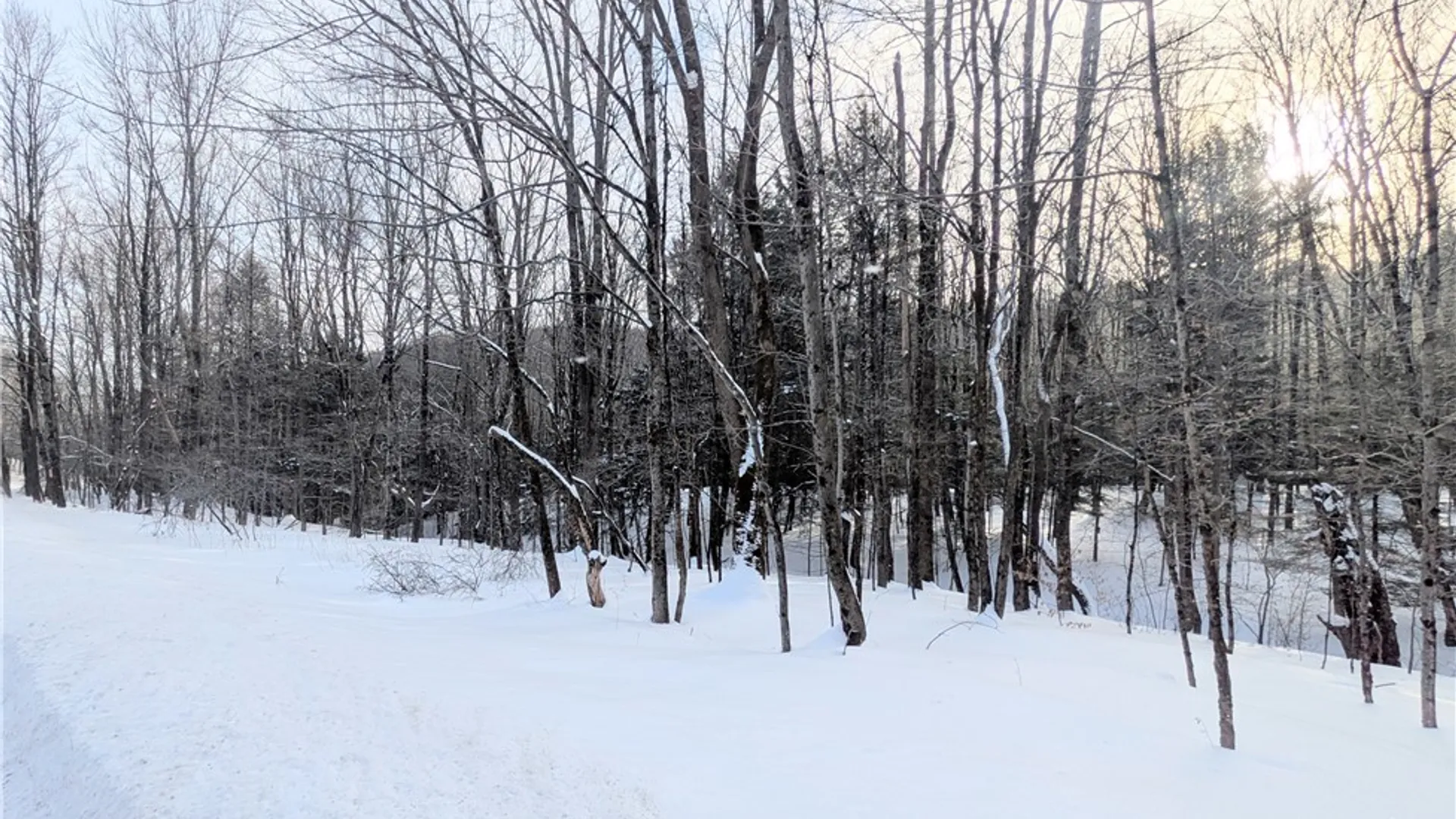 Property at Walt Phillips Road, Columbus, NY 13460 4