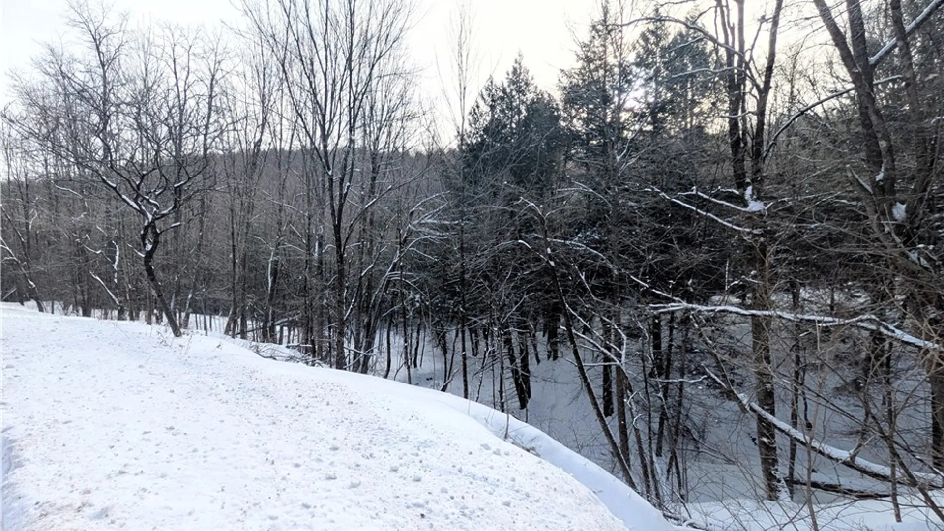 Property at Walt Phillips Road, Columbus, NY 13460 5