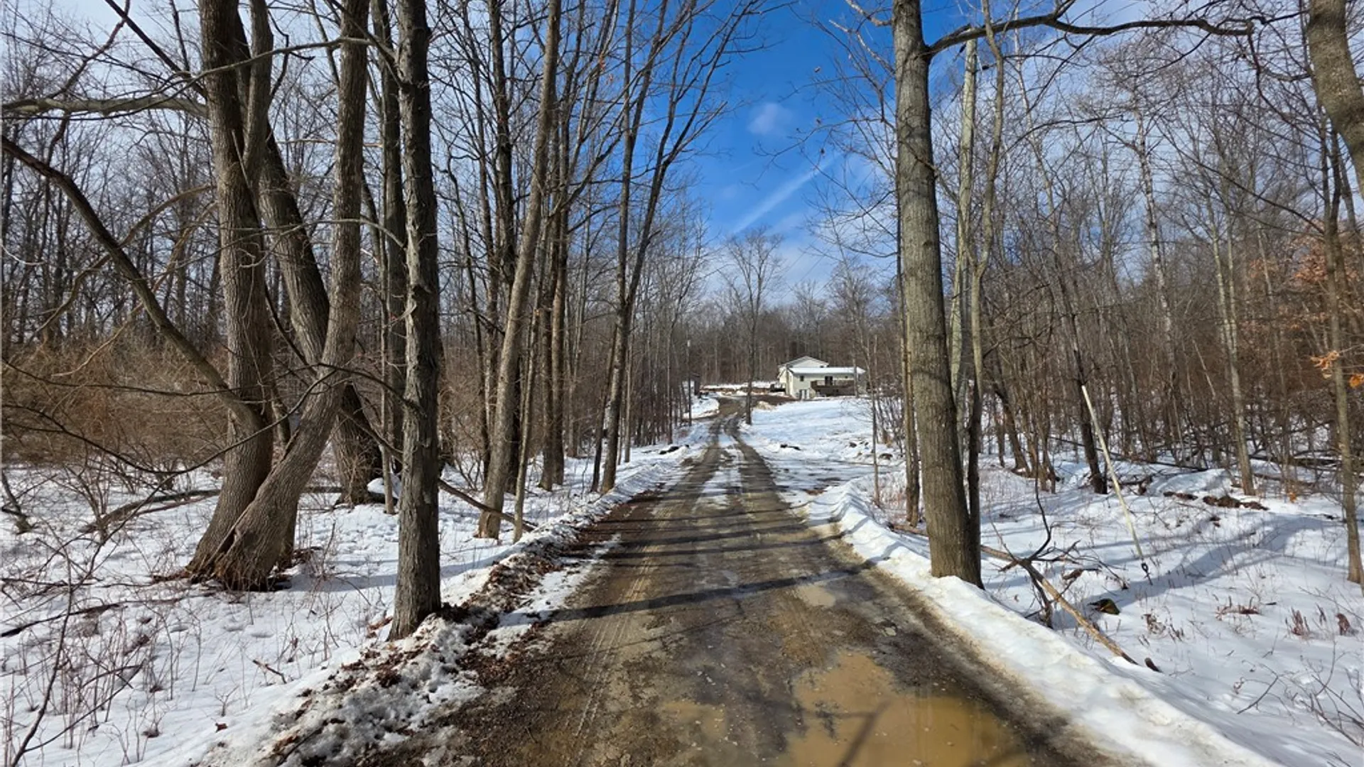Property at 813 County Route 99, Woodhull, NY 14898 2