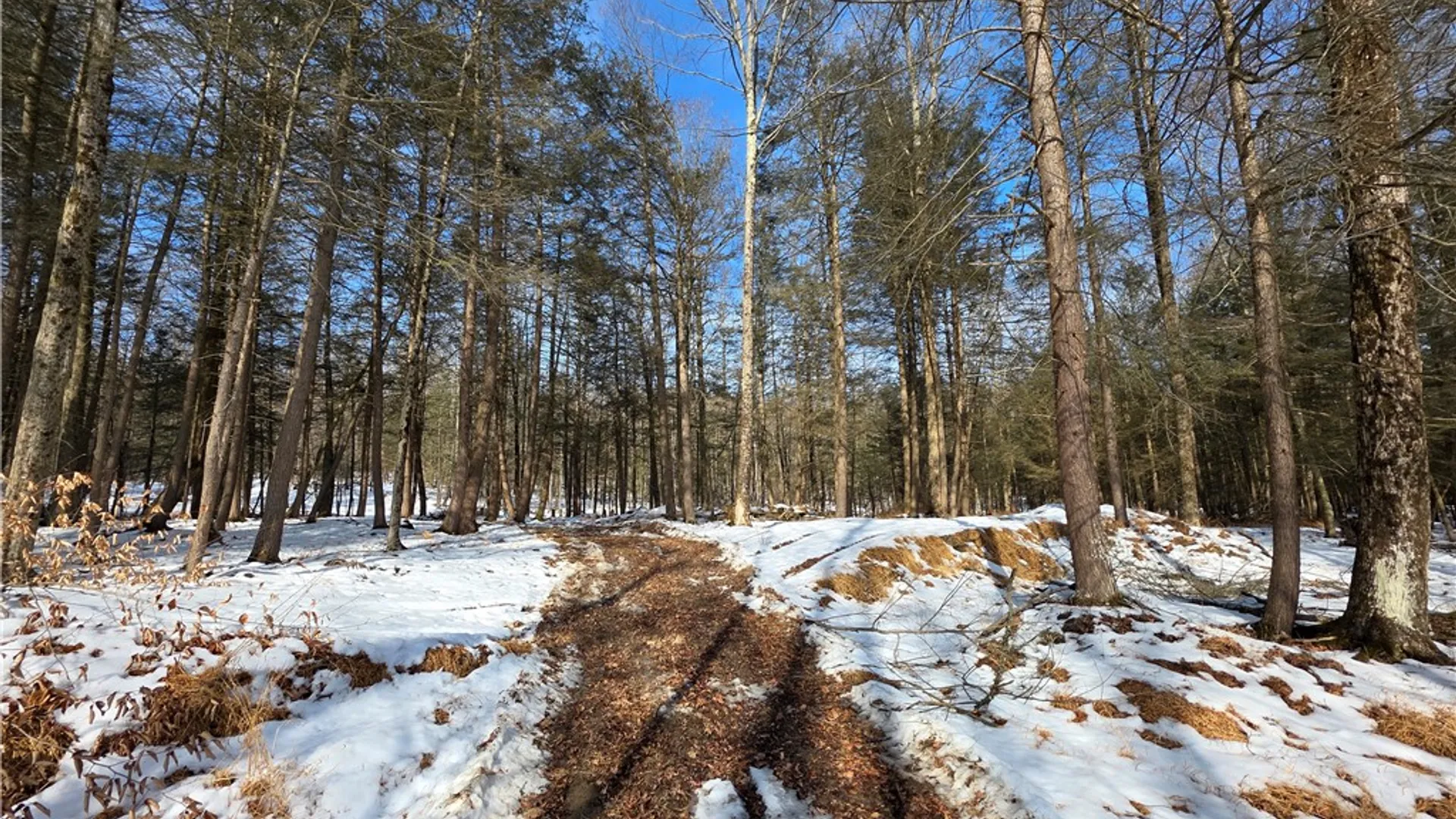 Property at 813 County Route 99, Woodhull, NY 14898 43