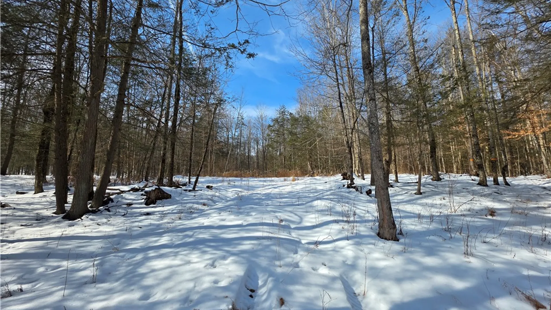 Property at 813 County Route 99, Woodhull, NY 14898 44