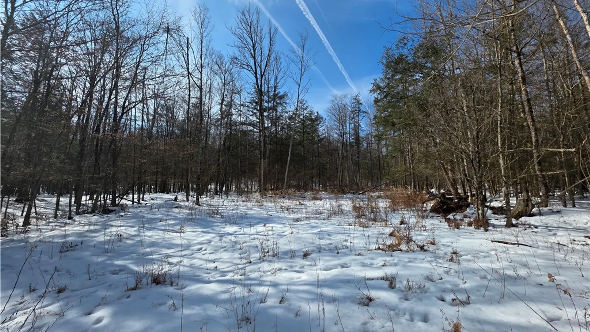Property at 813 County Route 99, Woodhull, NY 14898 45