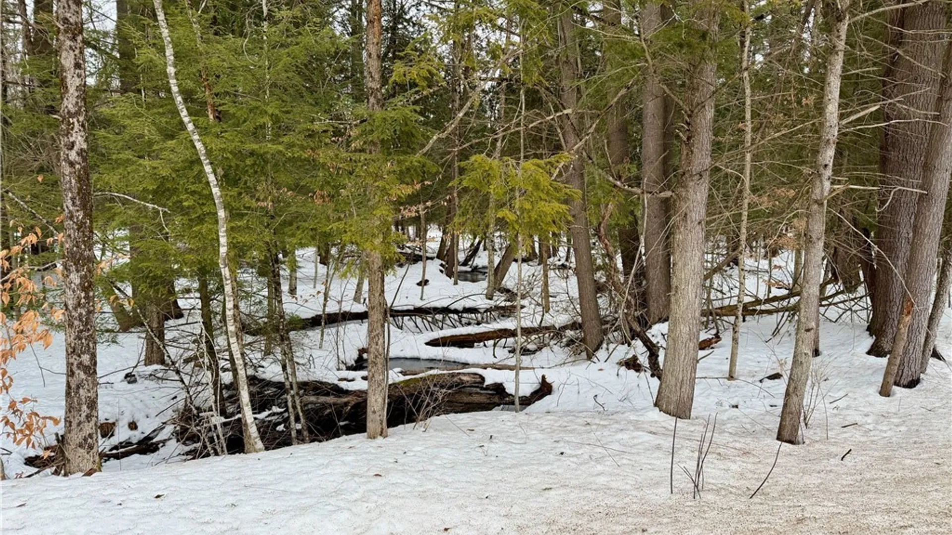 Property at 6919 Austin Road, Watson, NY 13343 10