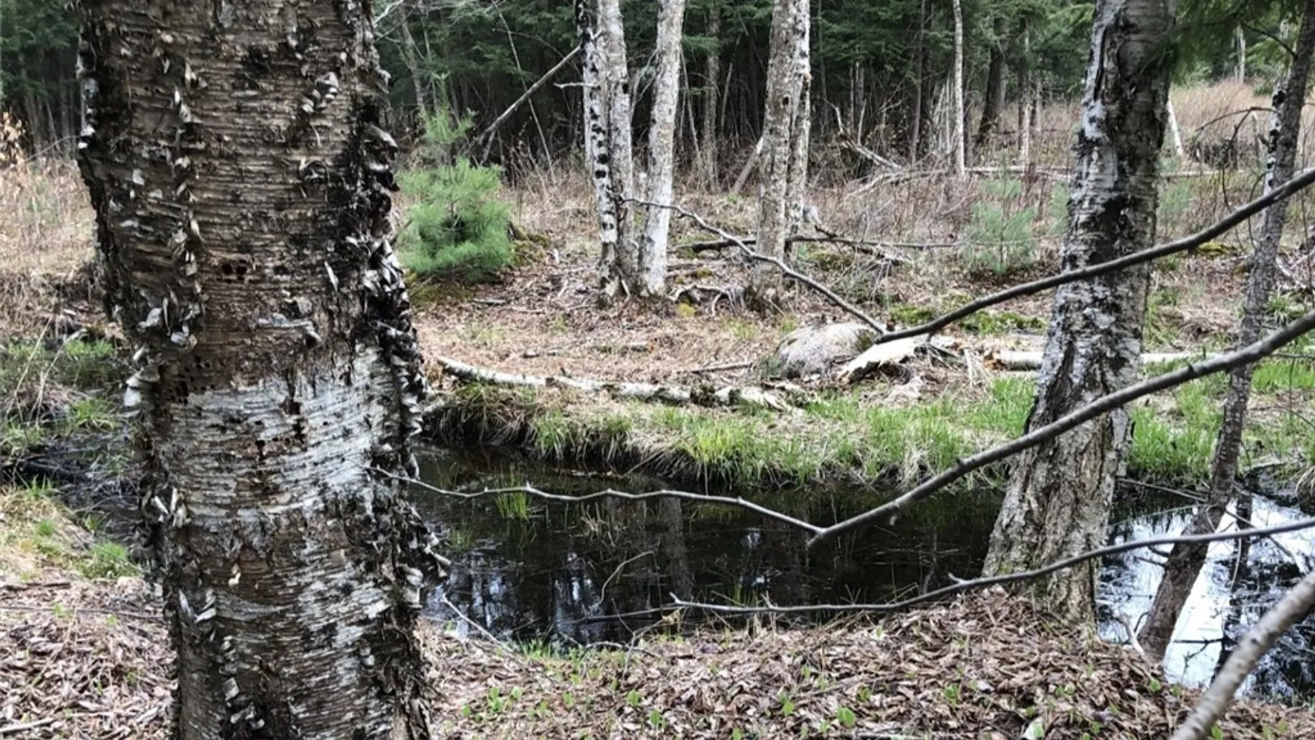 Property at 6919 Austin Road, Watson, NY 13343 11