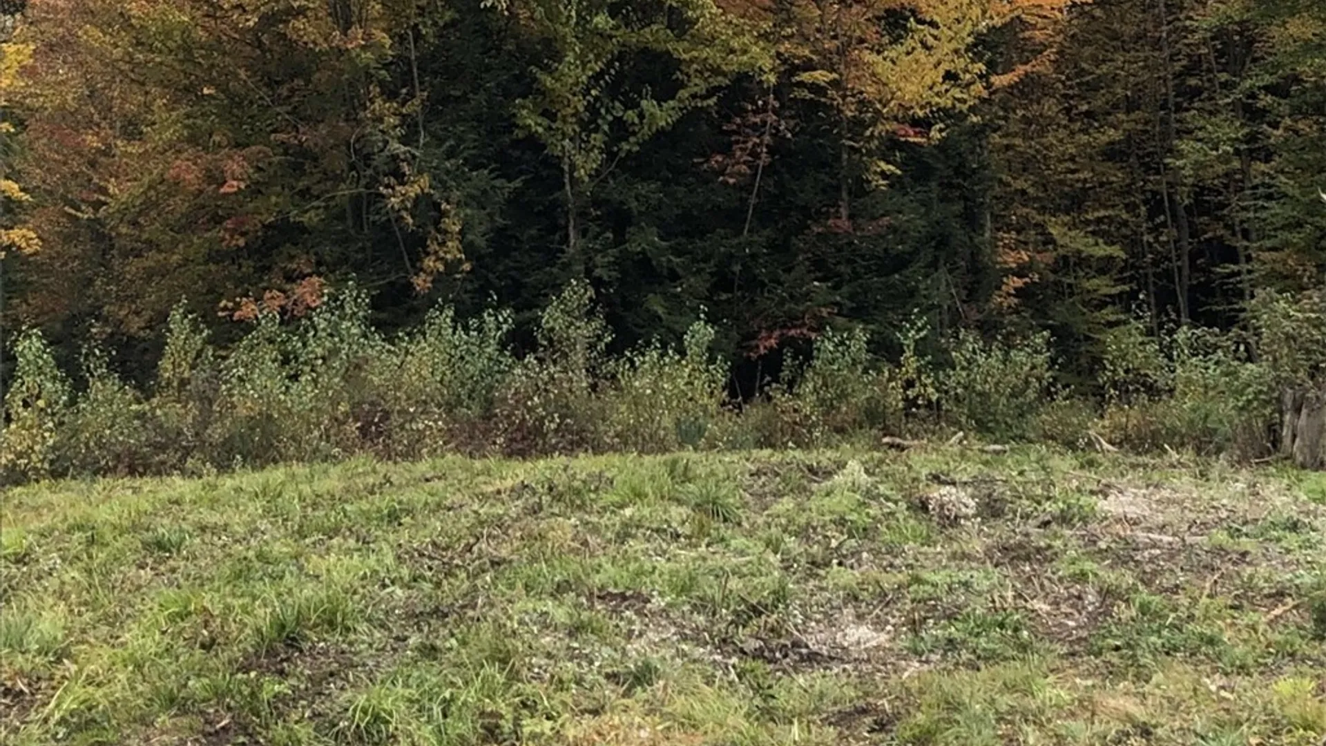 Property at 6919 Austin Road, Watson, NY 13343 13