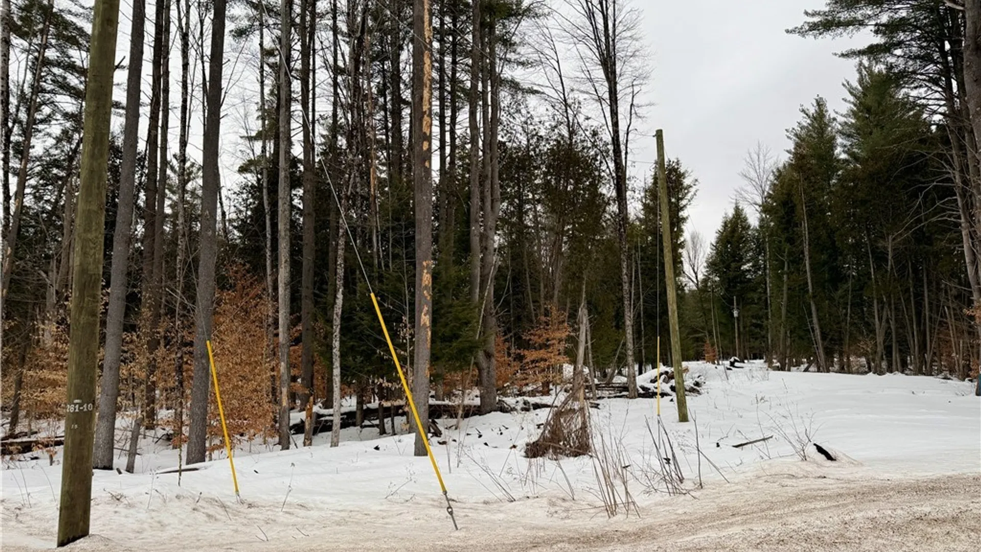 Property at 6919 Austin Road, Watson, NY 13343 18