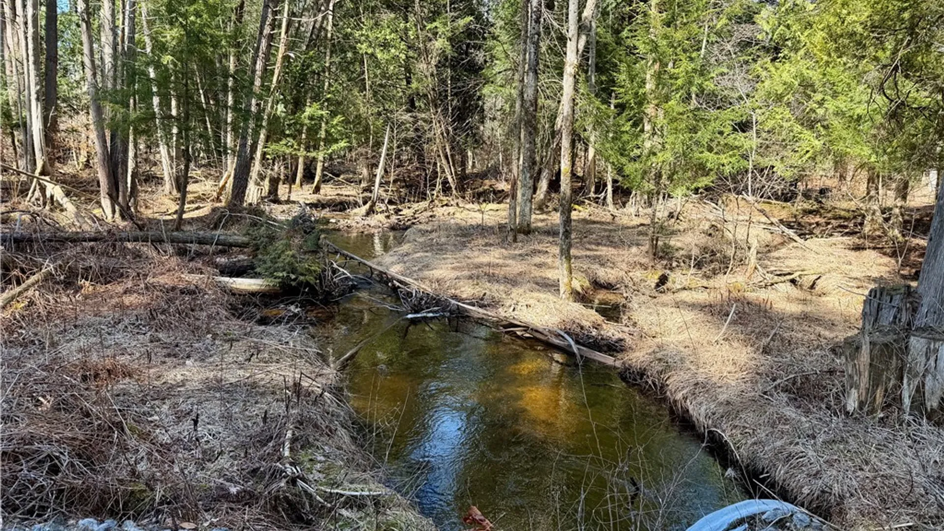 Property at 6919 Austin Road, Watson, NY 13343 2