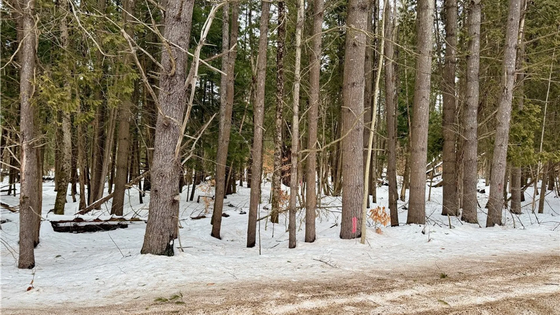 Property at 6919 Austin Road, Watson, NY 13343 20