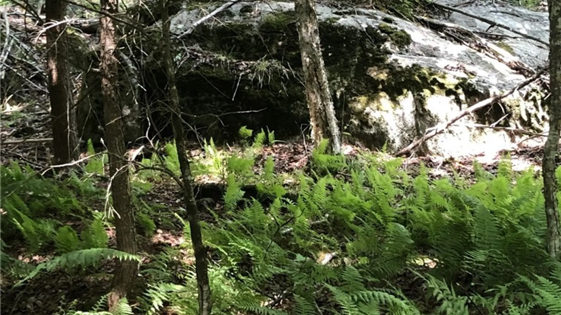 Property at 6919 Austin Road, Watson, NY 13343 25