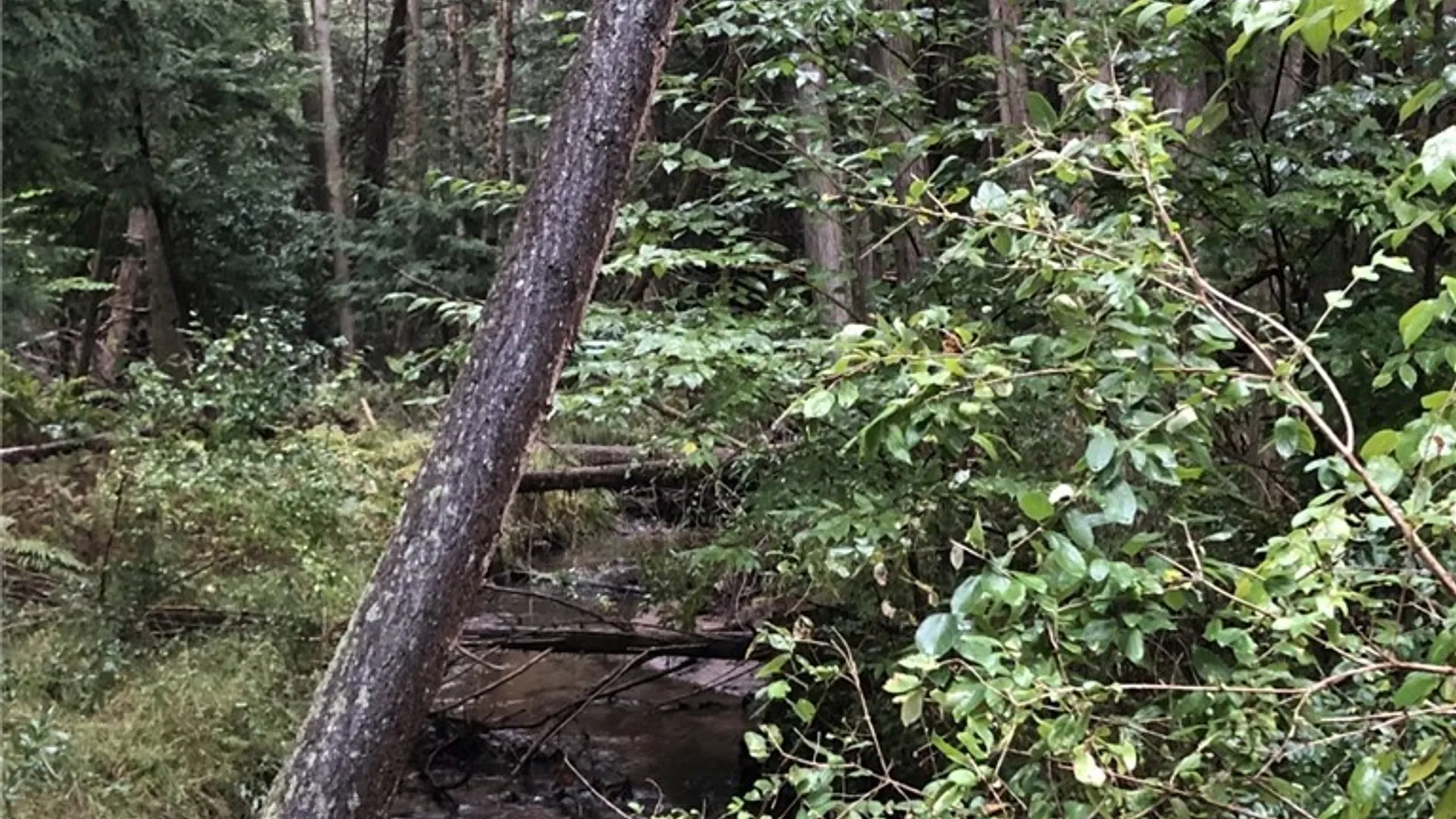 Property at 6919 Austin Road, Watson, NY 13343 26