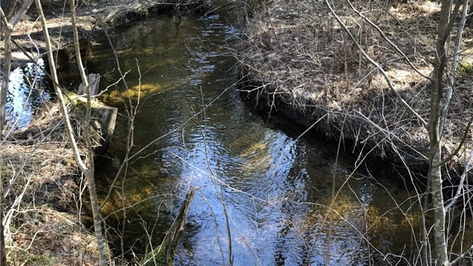 Property at 6919 Austin Road, Watson, NY 13343 27