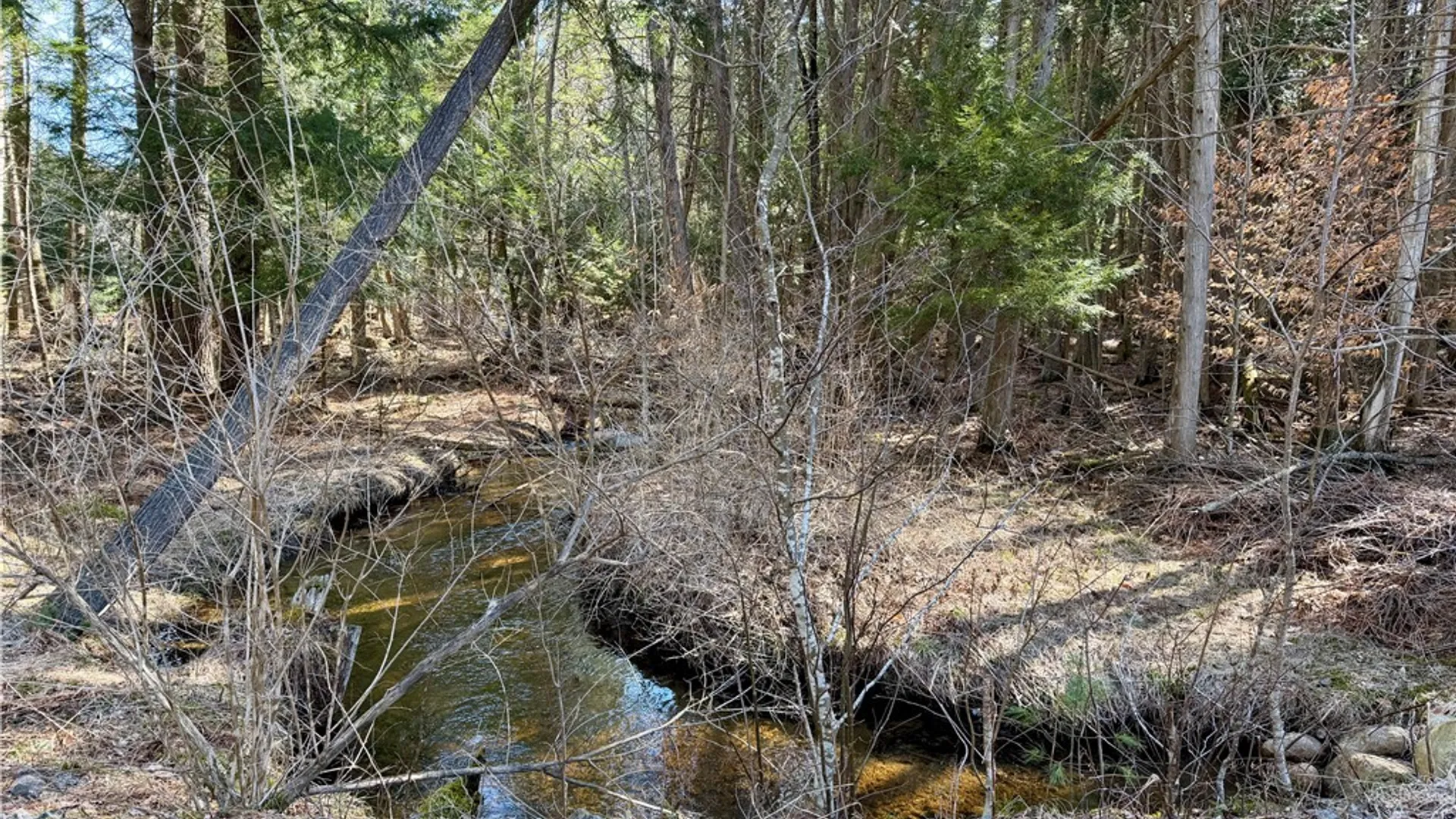 Property at 6919 Austin Road, Watson, NY 13343 3