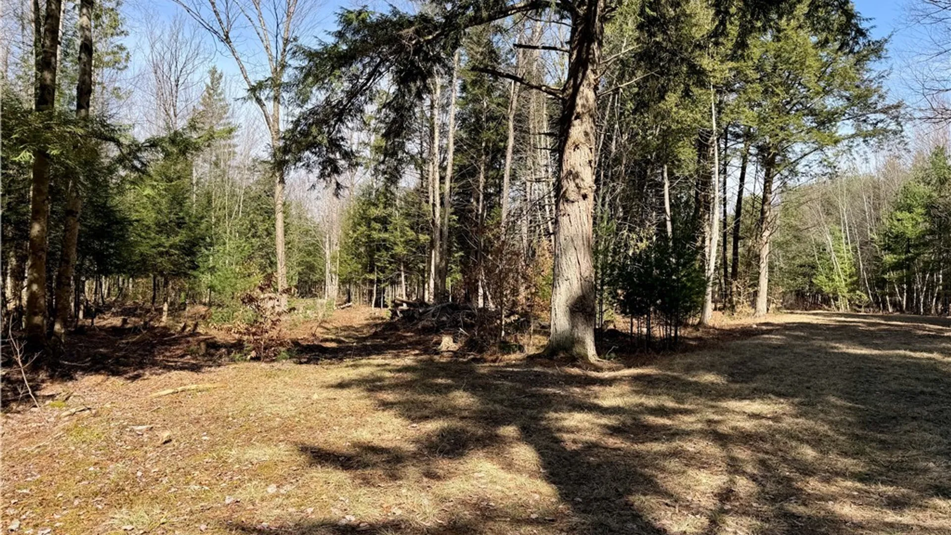 Property at 6919 Austin Road, Watson, NY 13343 4