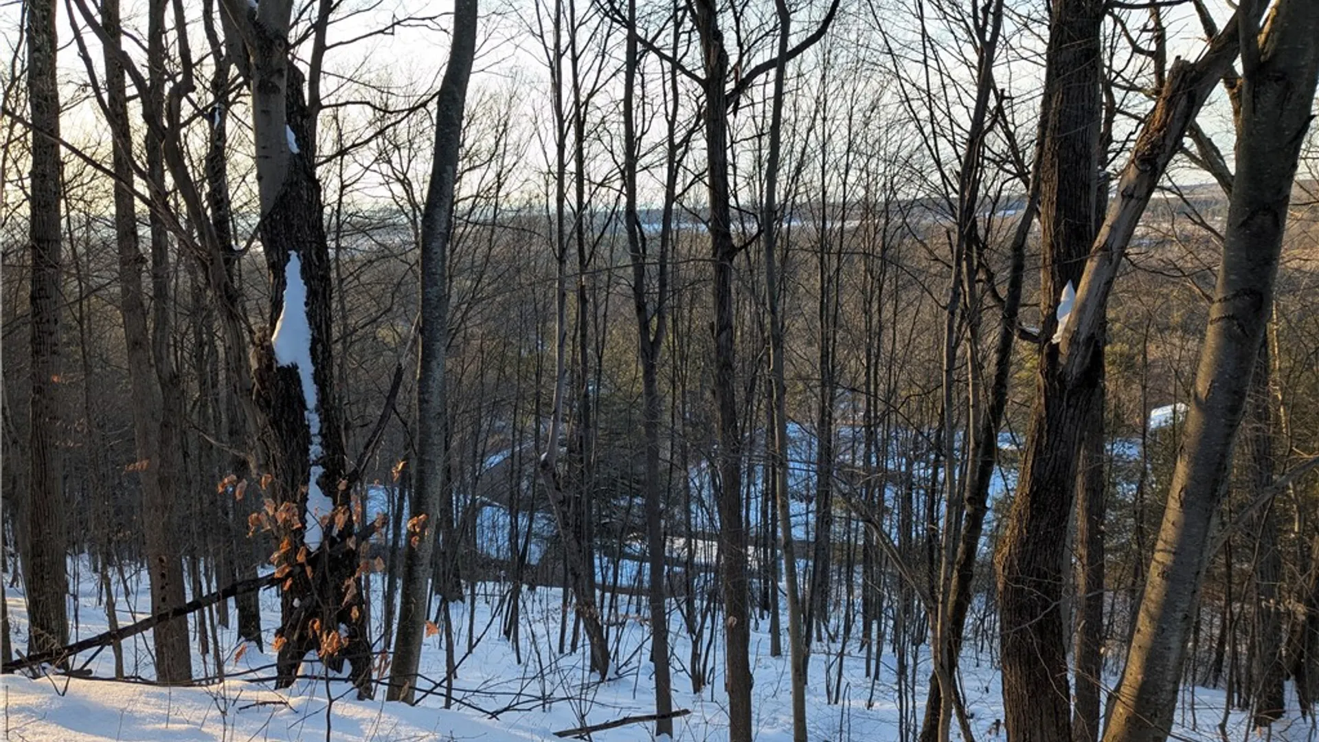 Property at 0 Oak Brook Drive, Dryden, NY 14850 2