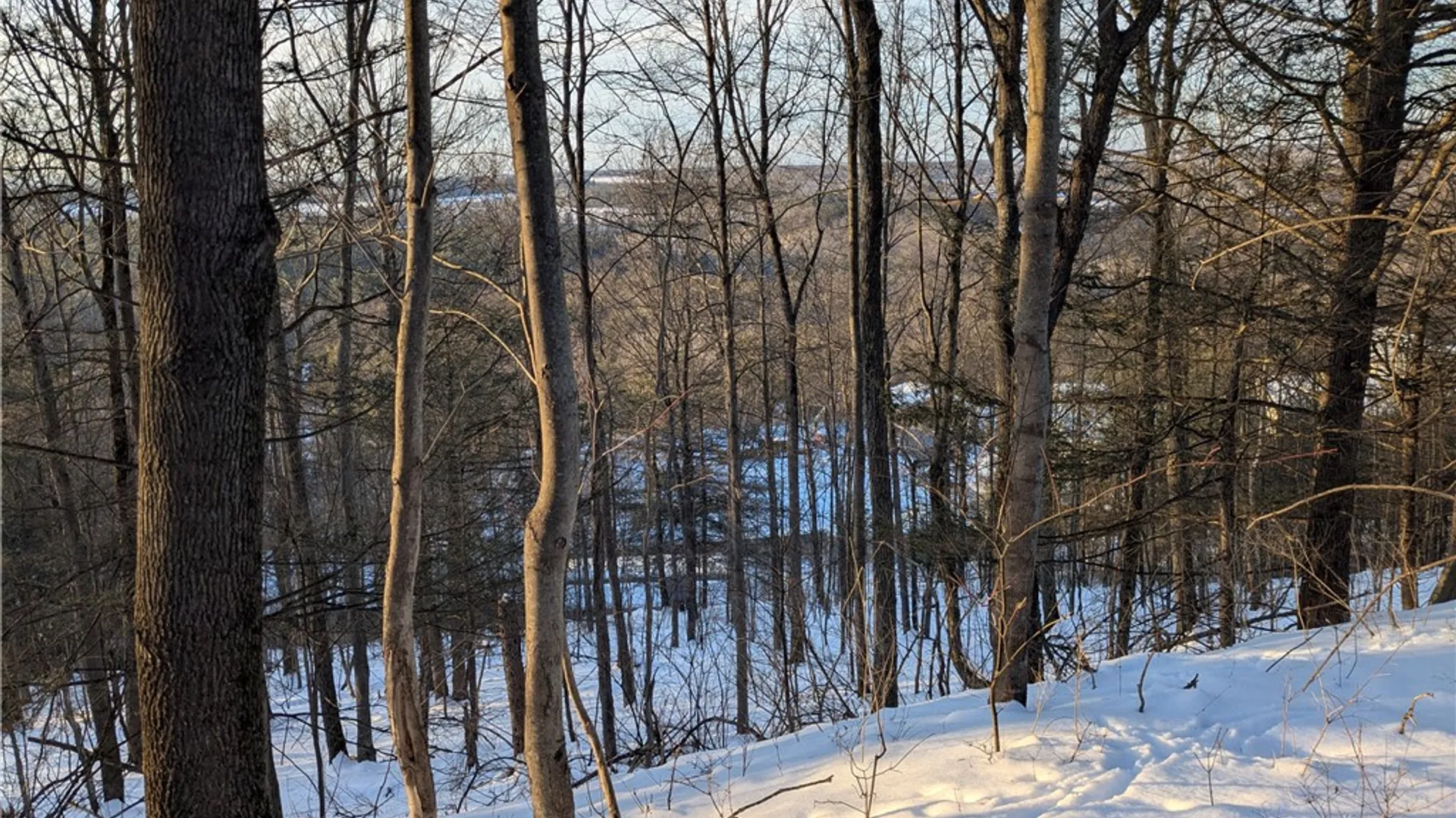 Property at 0 Oak Brook Drive, Dryden, NY 14850 5