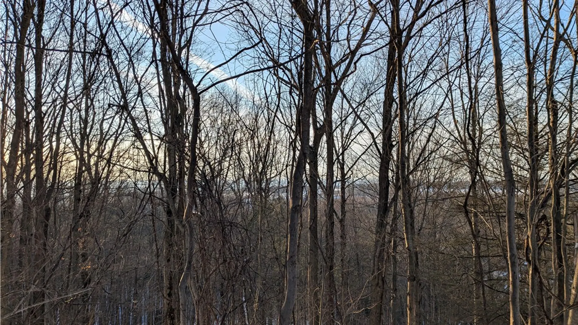 Property at 0 Oak Brook Drive, Dryden, NY 14850 6