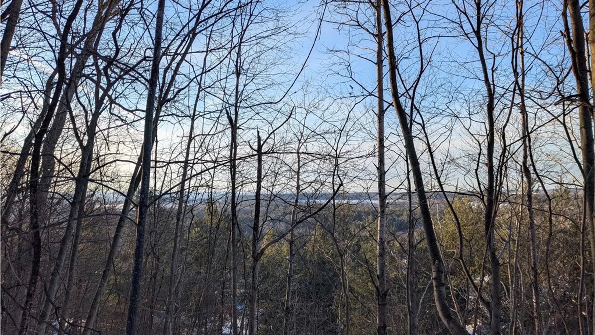 Property at 0 Oak Brook Drive, Dryden, NY 14850 7