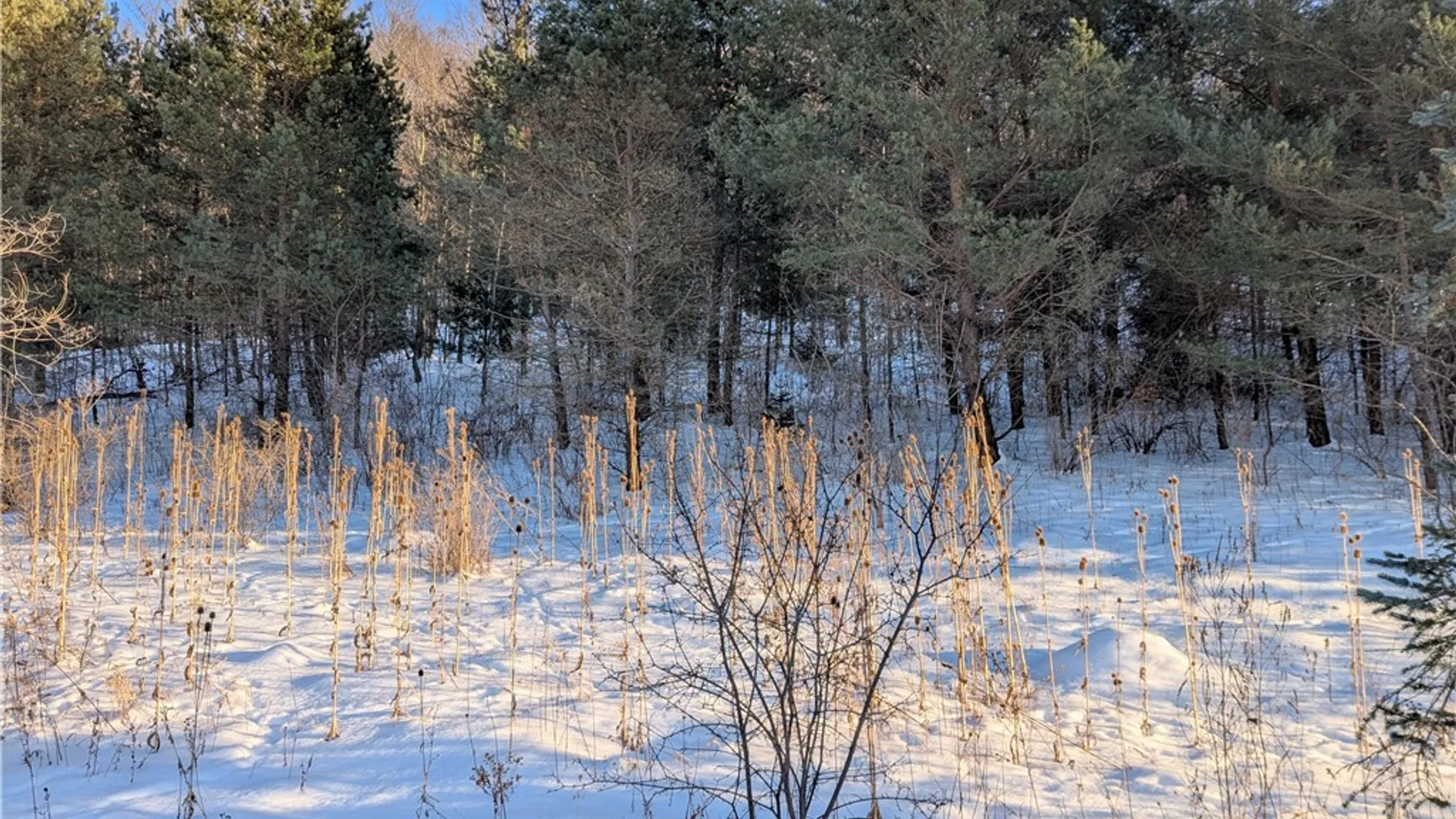 Property at 0 Oak Brook Drive, Dryden, NY 14850 9