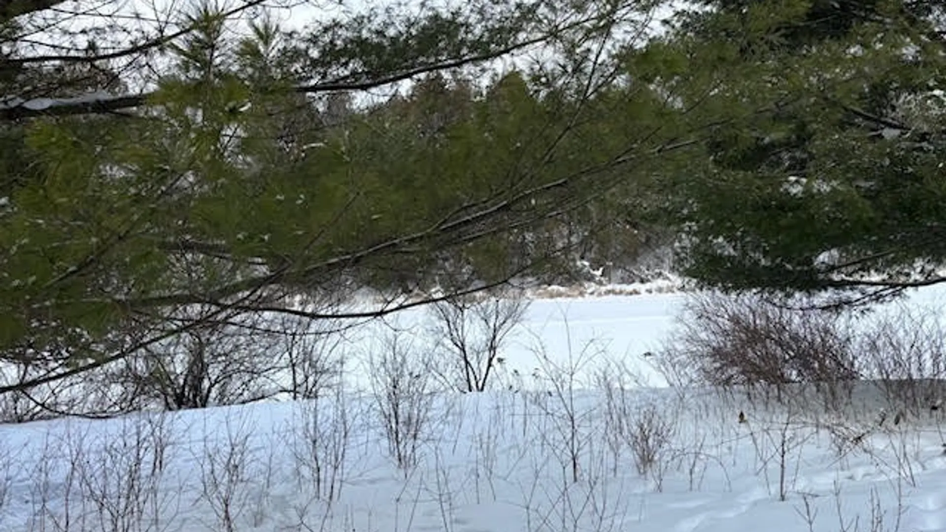 Property at Conklin Drive, Lyme, NY 13622 2