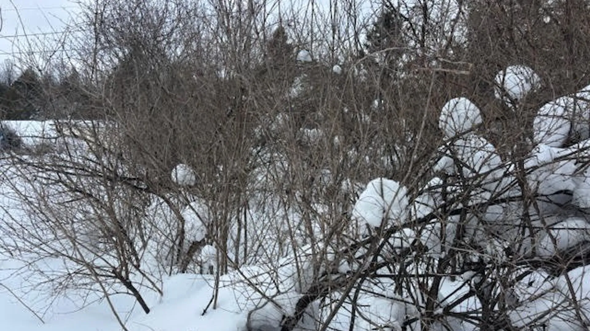 Property at Conklin Drive, Lyme, NY 13622 3