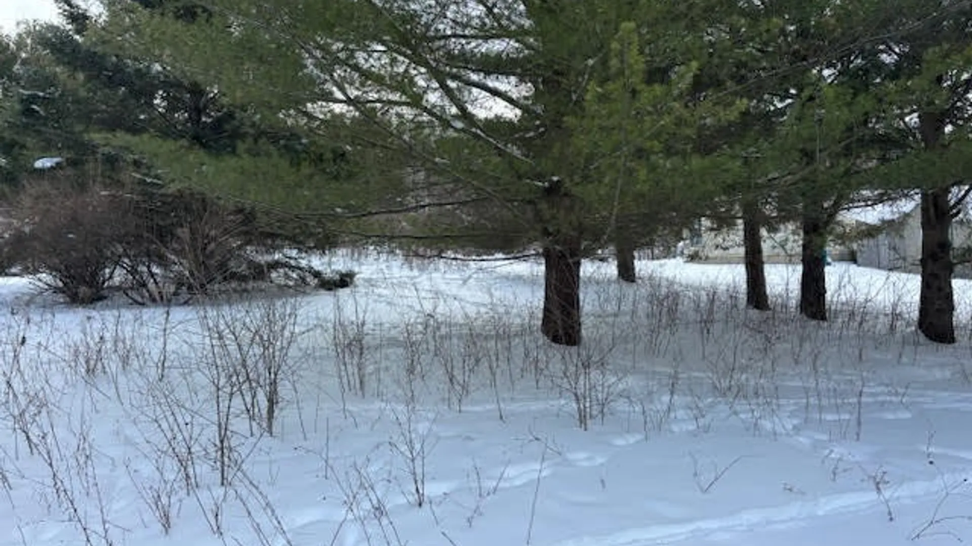 Property at Conklin Drive, Lyme, NY 13622 4