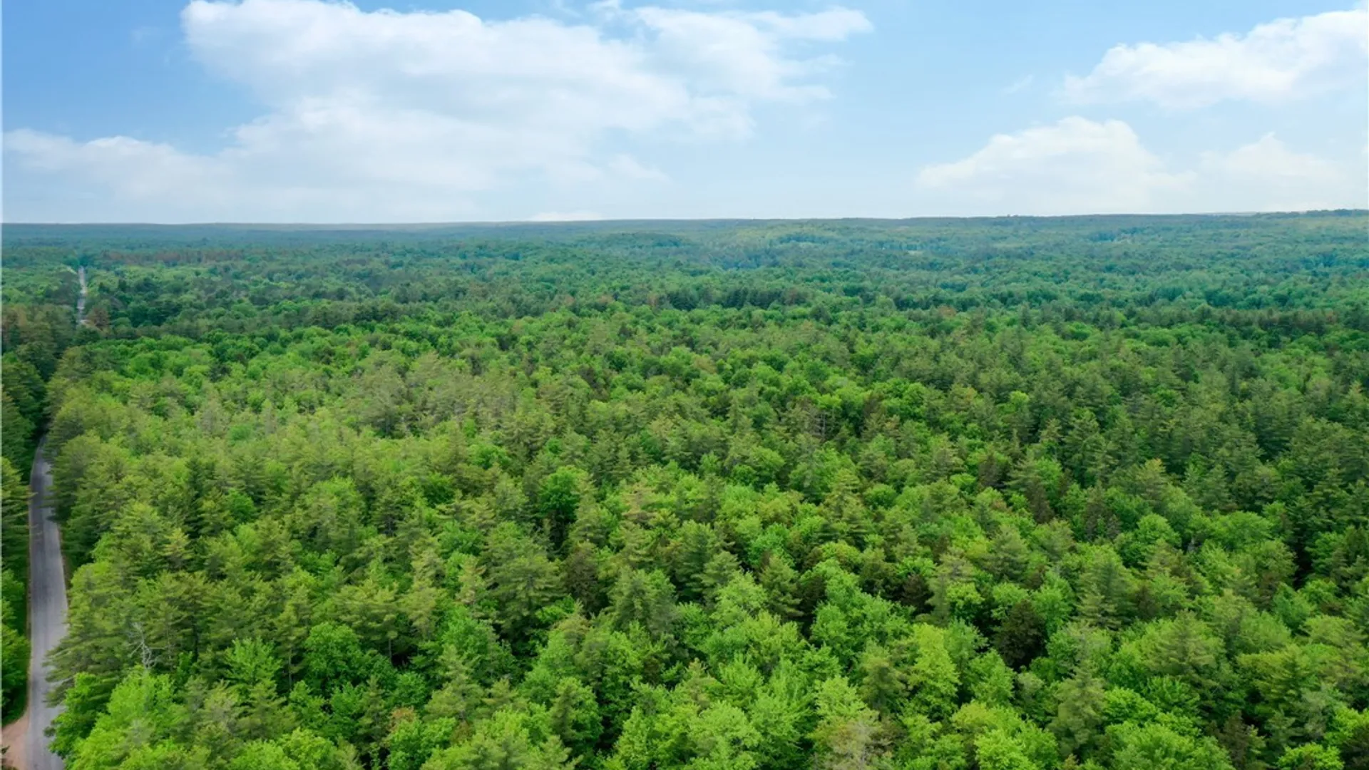 Property at Elpis Road, Vienna, NY 13316 2
