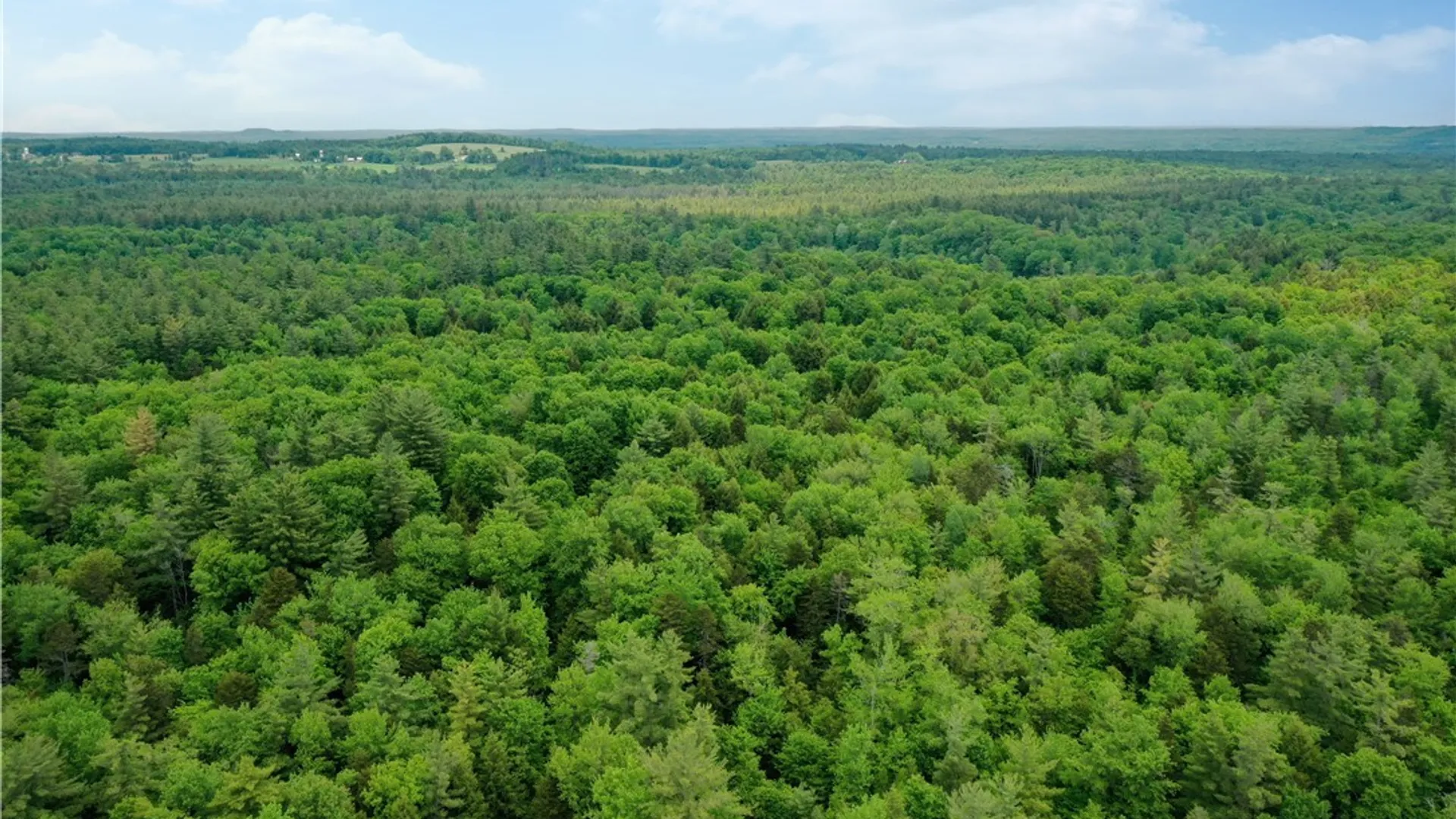 Property at Elpis Road, Vienna, NY 13316 3