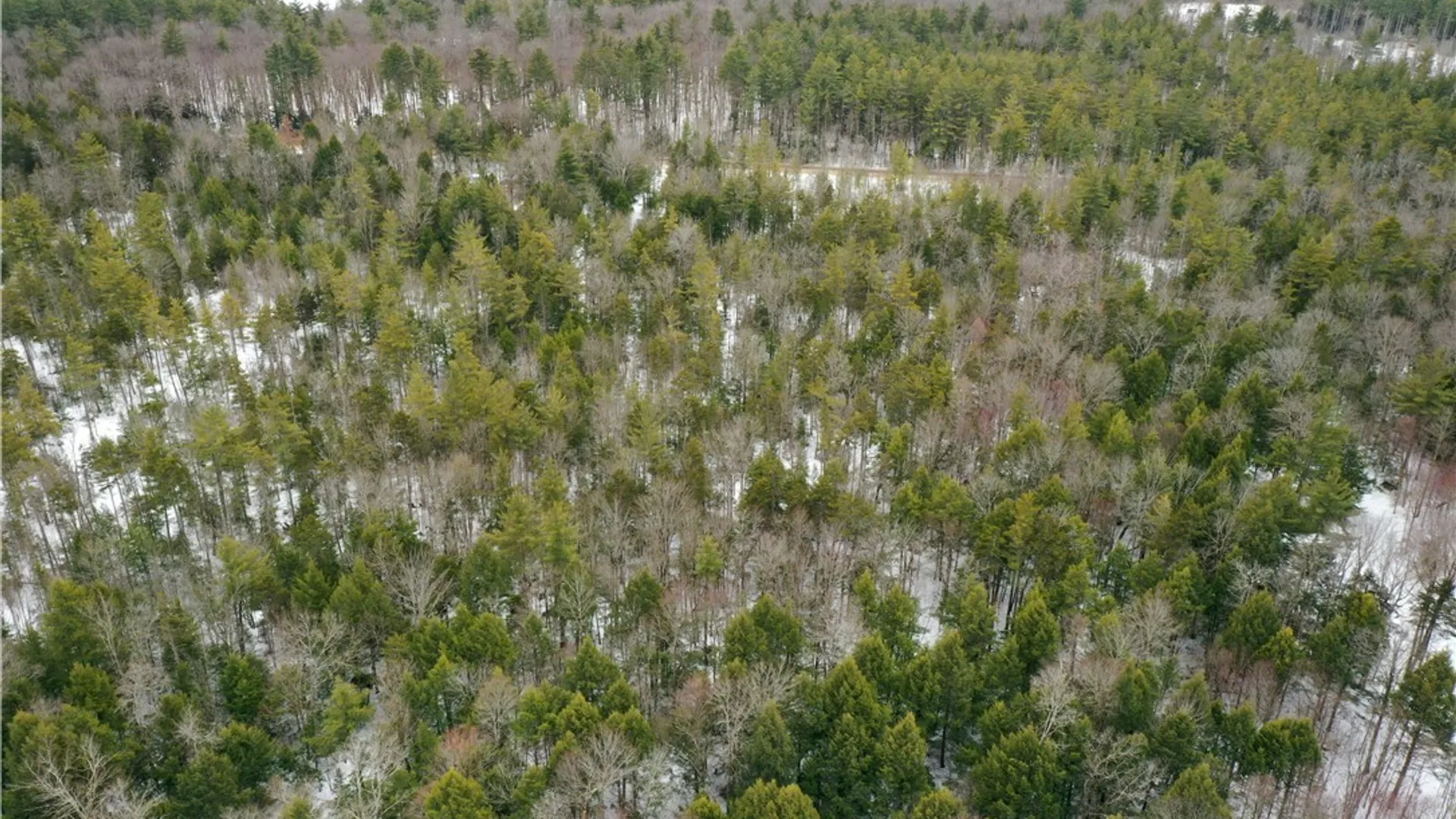 Property at Elpis Road, Vienna, NY 13316 6