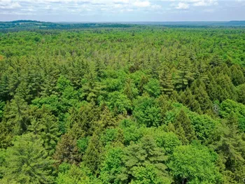 Elpis Road, Camden, NY 13316