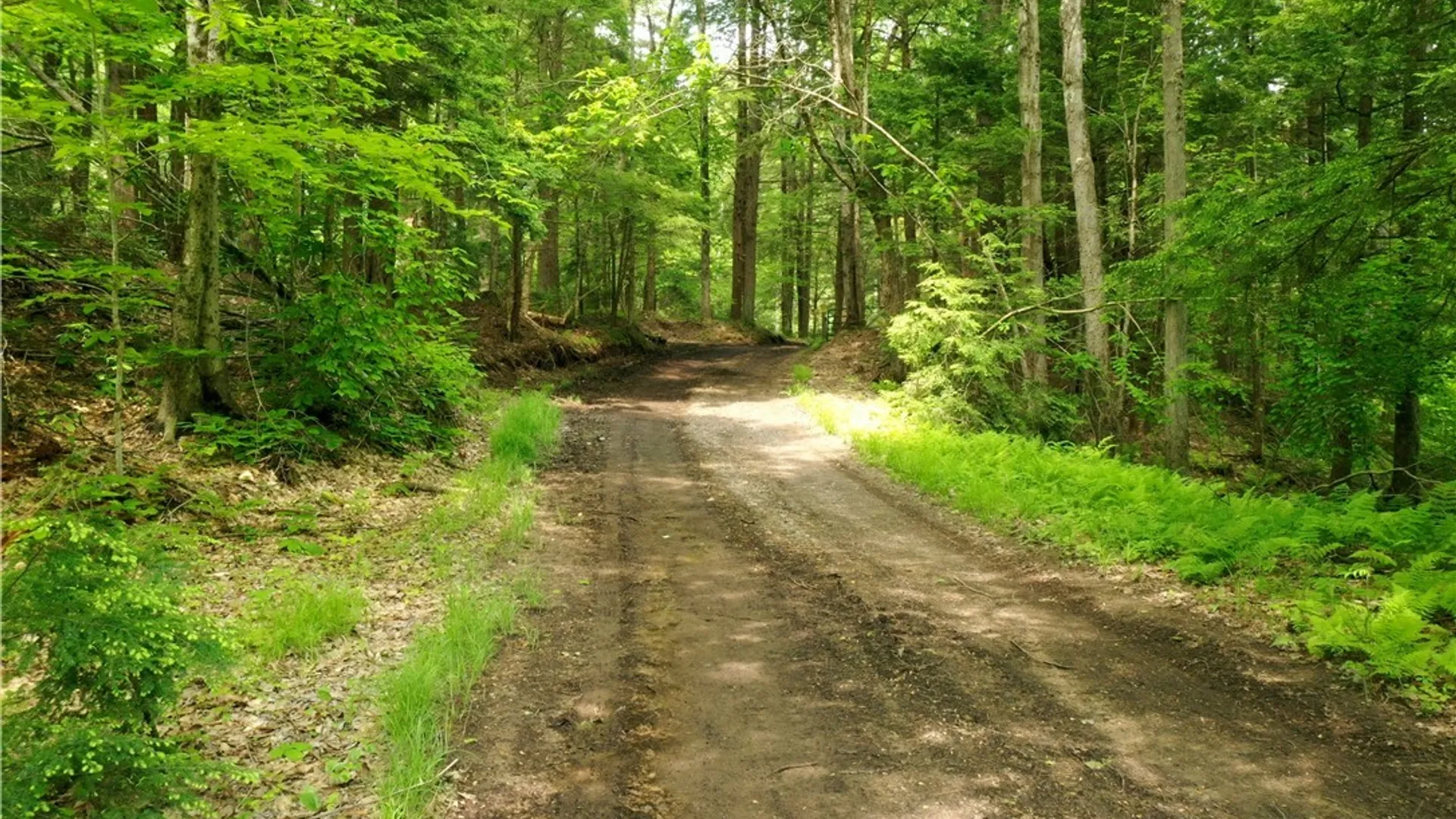 Property at Elpis Road, Camden, NY 13316 2