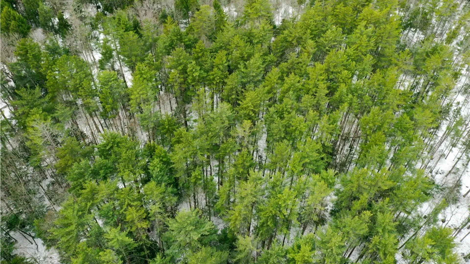 Property at Elpis Road, Camden, NY 13316 3