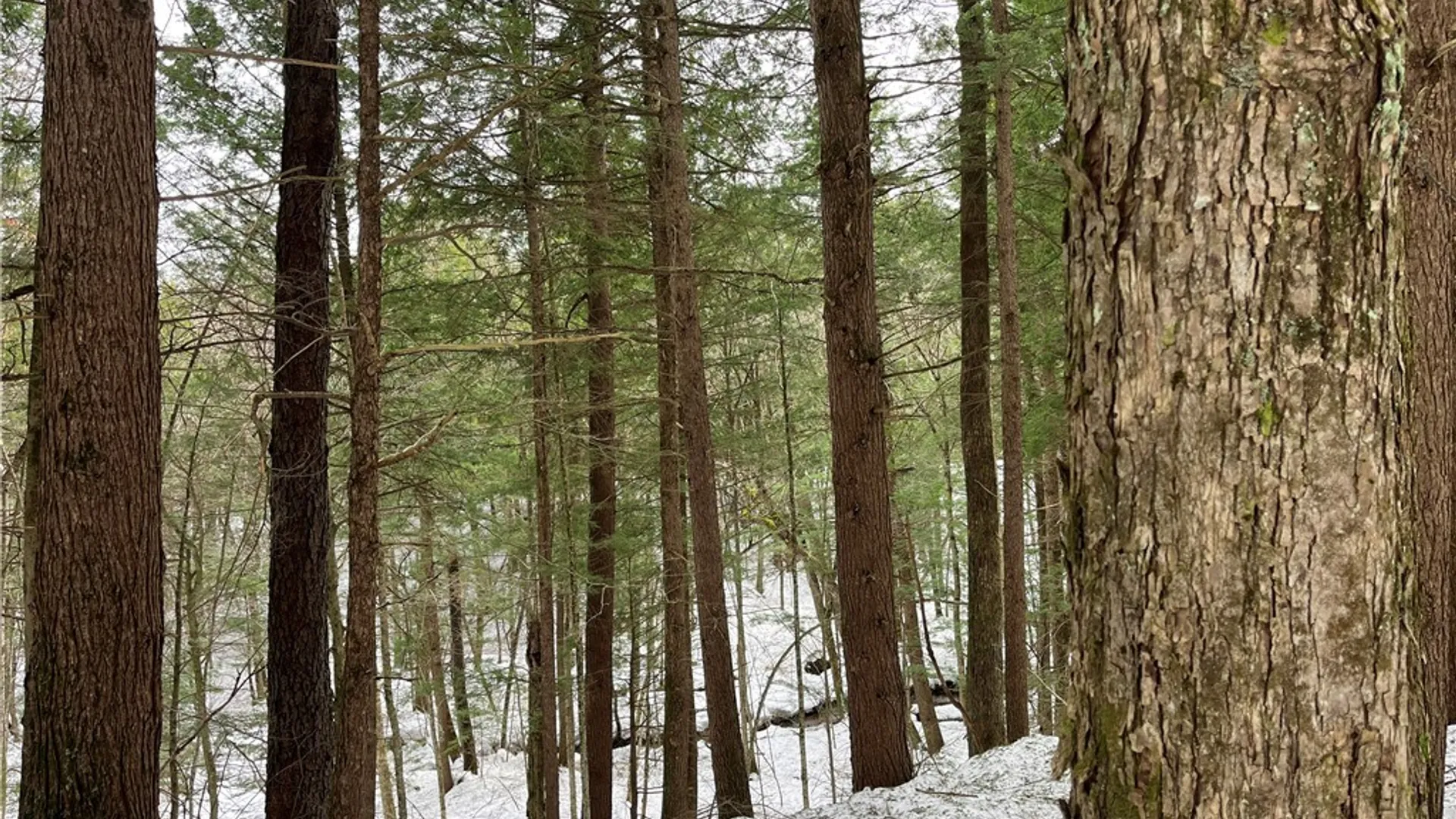 Property at Elpis Road, Camden, NY 13316 4