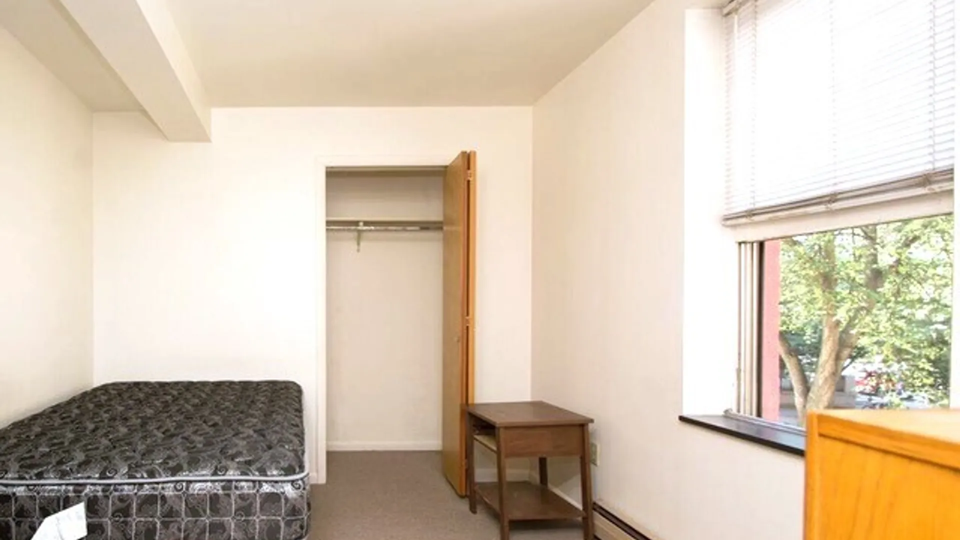 Property at 109 Cayuga Street, Ithaca City, NY 14850 5