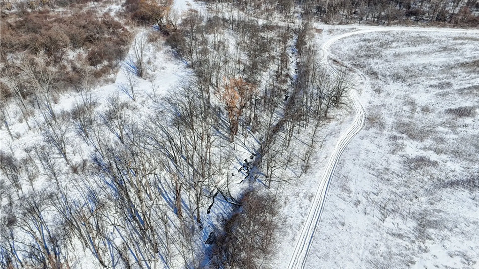 Property at 5 Rt-20, Hopewell, NY 14424 6