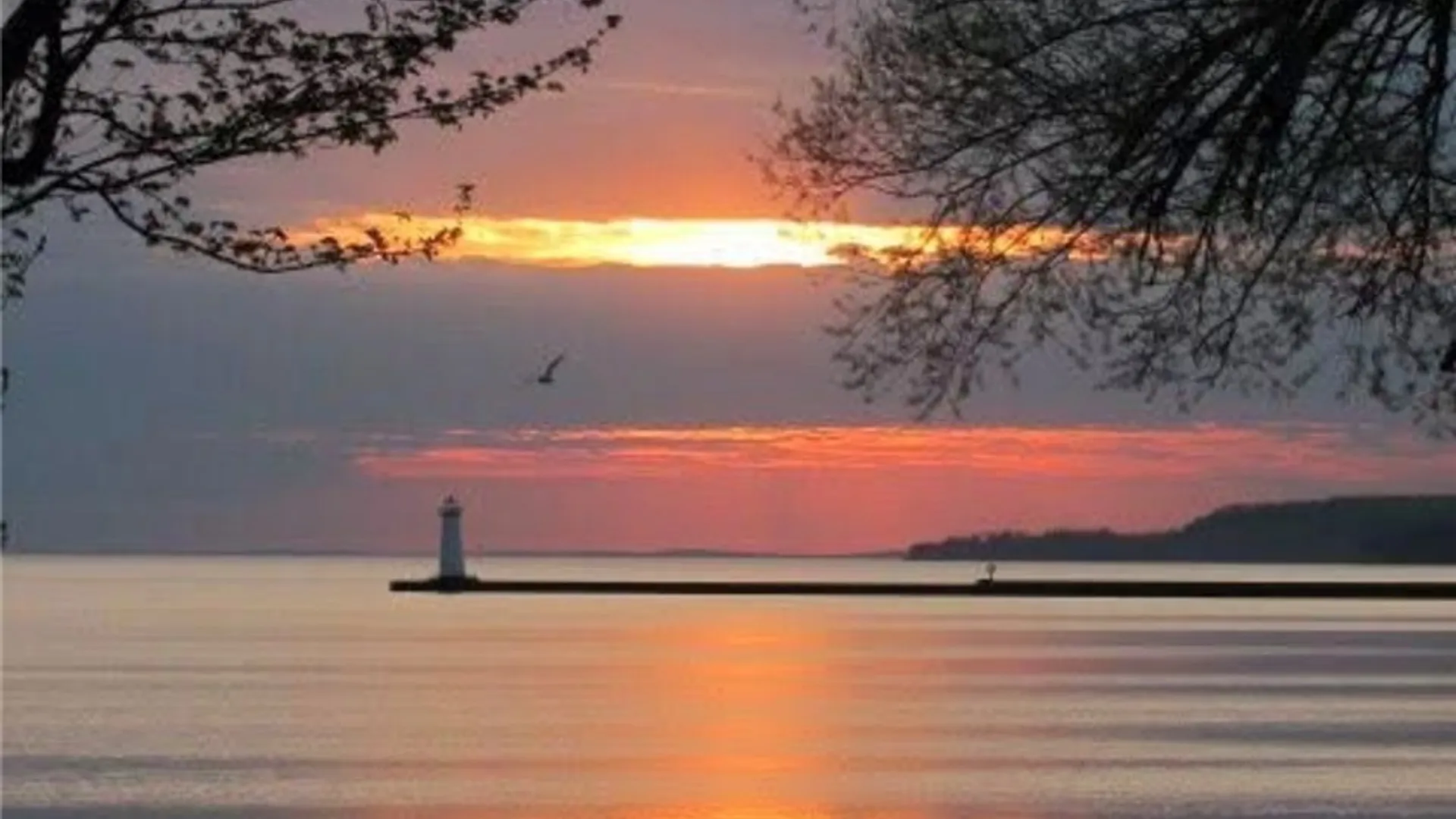 Property at 8482 Greig Street, Sodus, NY 14555 21