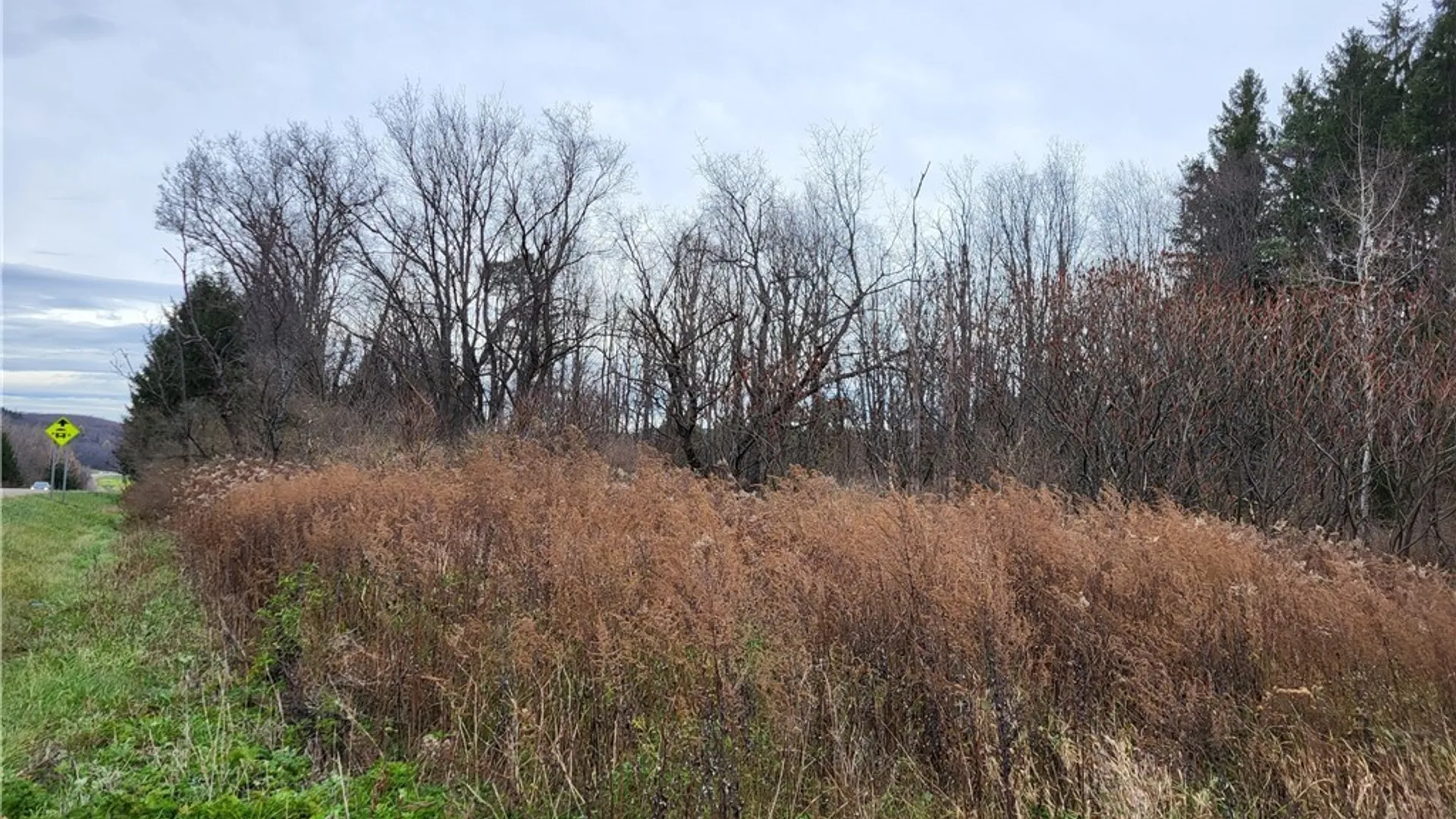 Property at US ROUTE 219, Ellicottville, NY 14731 2