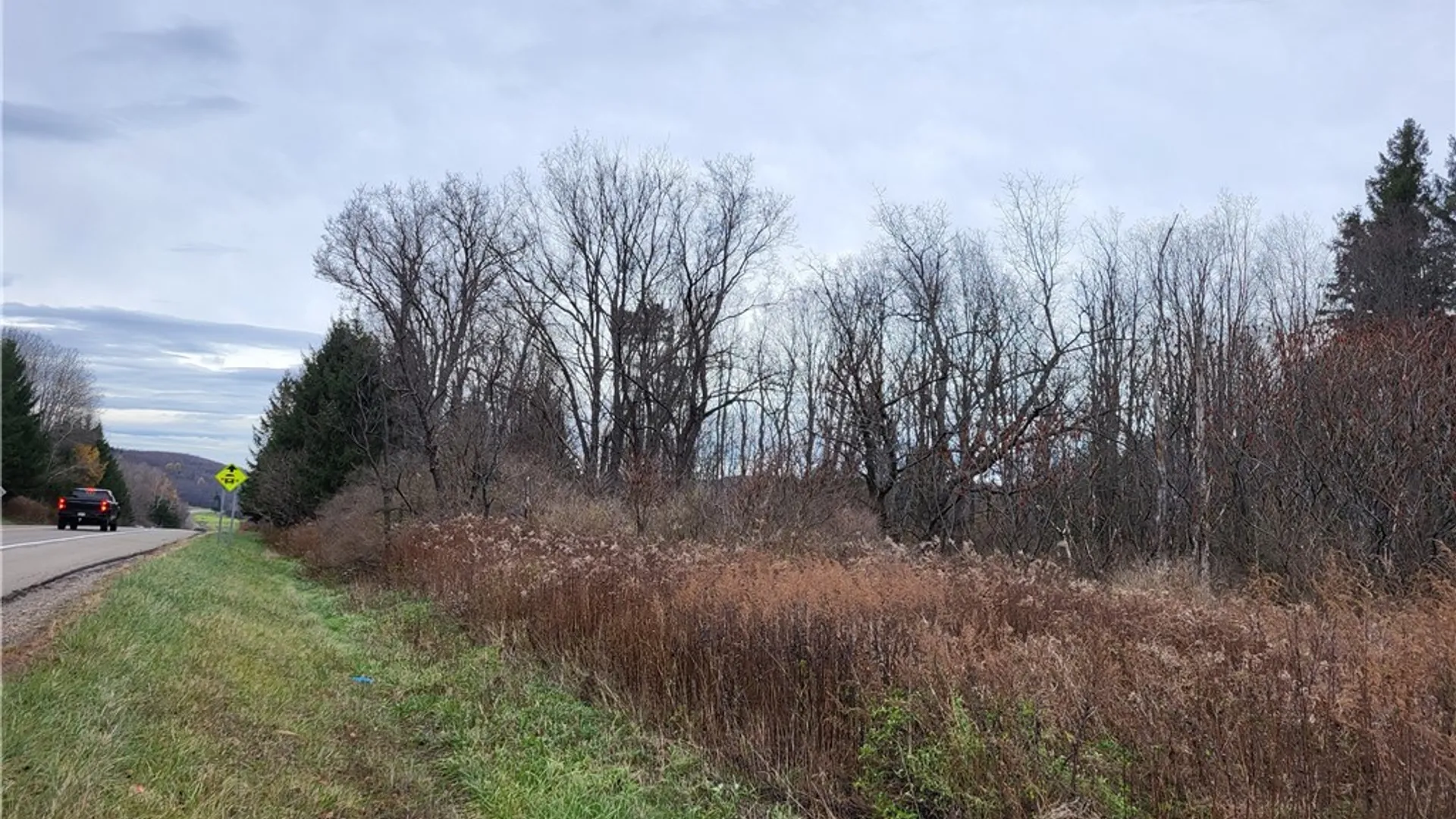 Property at US ROUTE 219, Ellicottville, NY 14731 3
