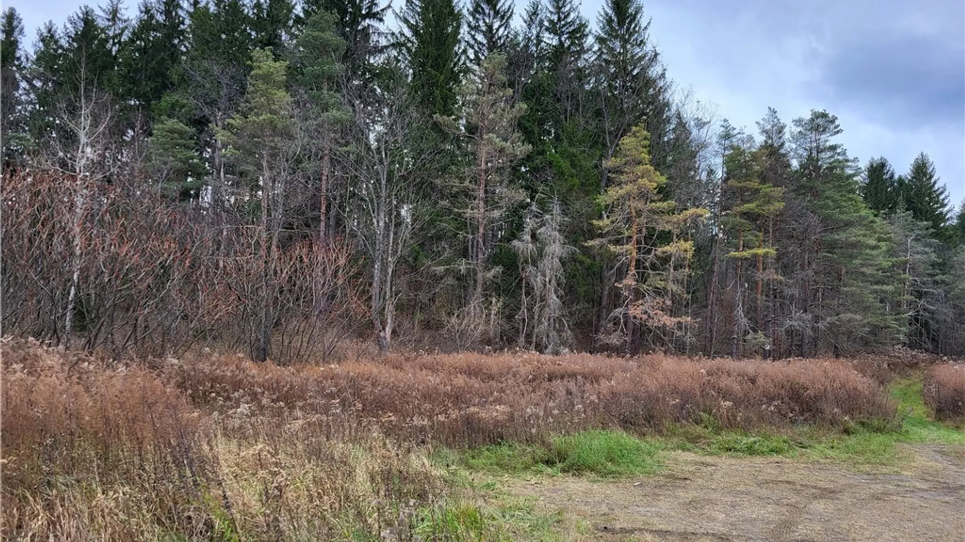 Property at US ROUTE 219, Ellicottville, NY 14731 4
