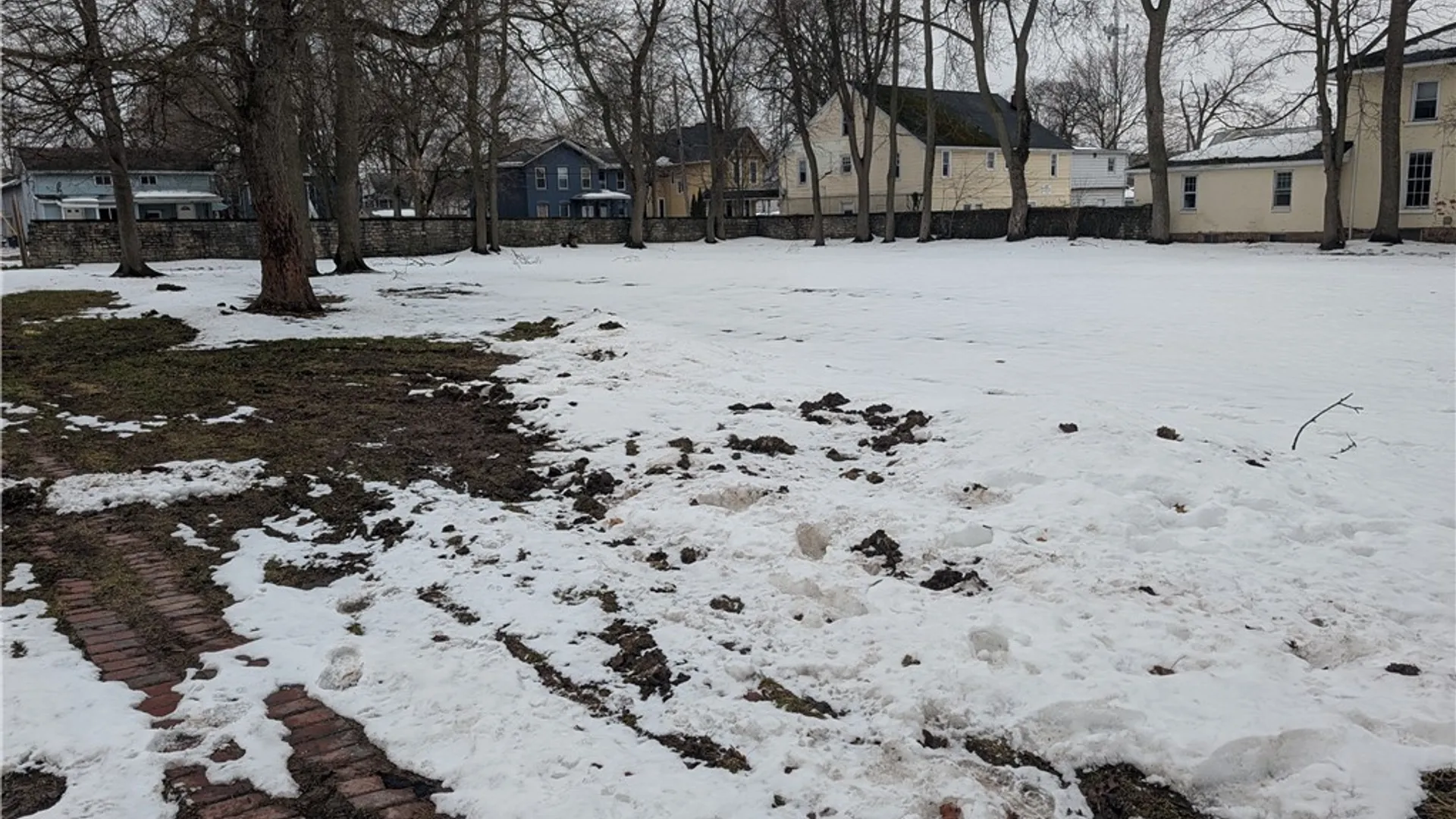 Property at 153 Pine Street, Lockport City, NY 14094 4