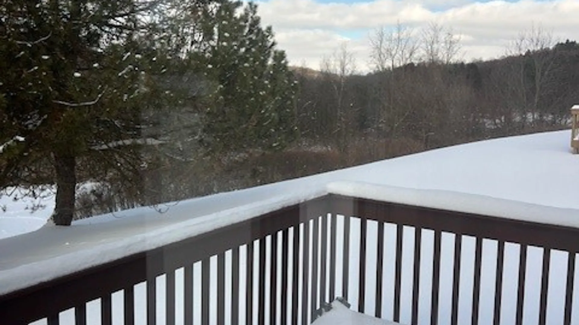 Property at 303 White Heron Circle, Manlius, NY 13066 2